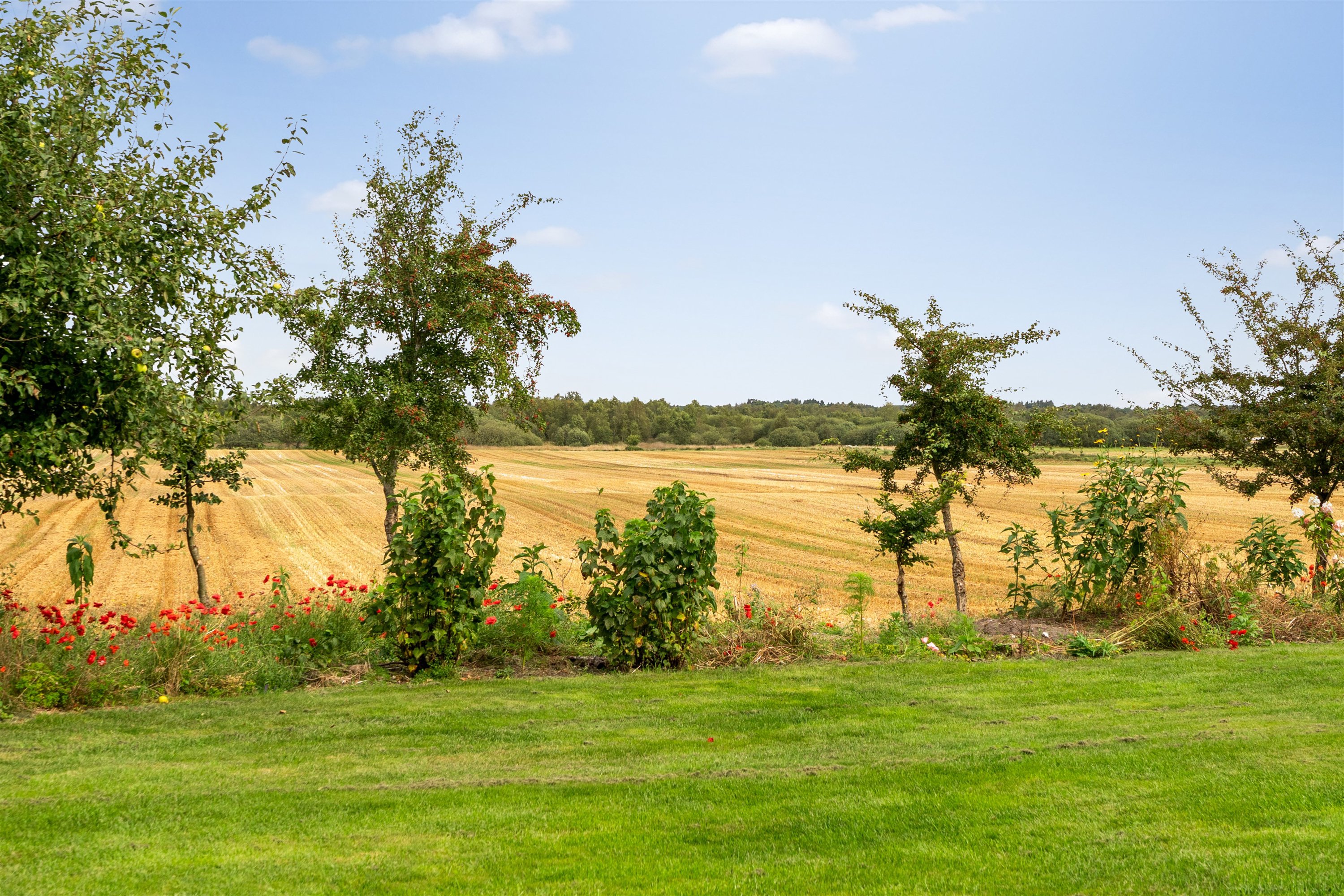 Fremhævet ejendommen billede i fuldskærmstilstand. Billede af Almstokvej 20, 6623 Vorbasse