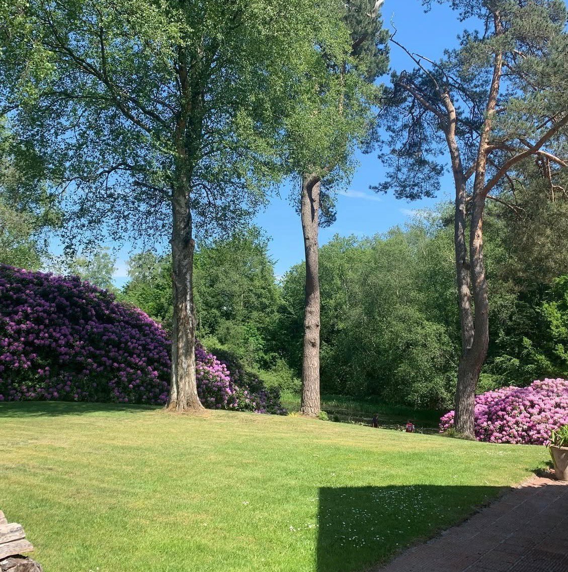 Fremhævet  billede i fuldskærmstilstand. Billede af Hovmosevej 19, Gadevang, 3400 Hillerød