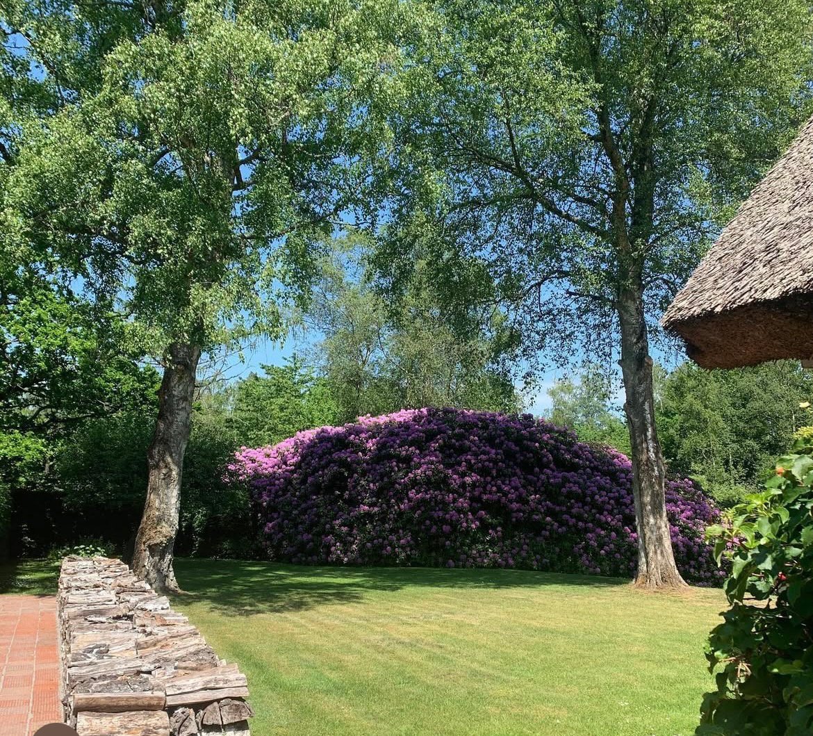 Fremhævet  billede i fuldskærmstilstand. Billede af Hovmosevej 19, Gadevang, 3400 Hillerød