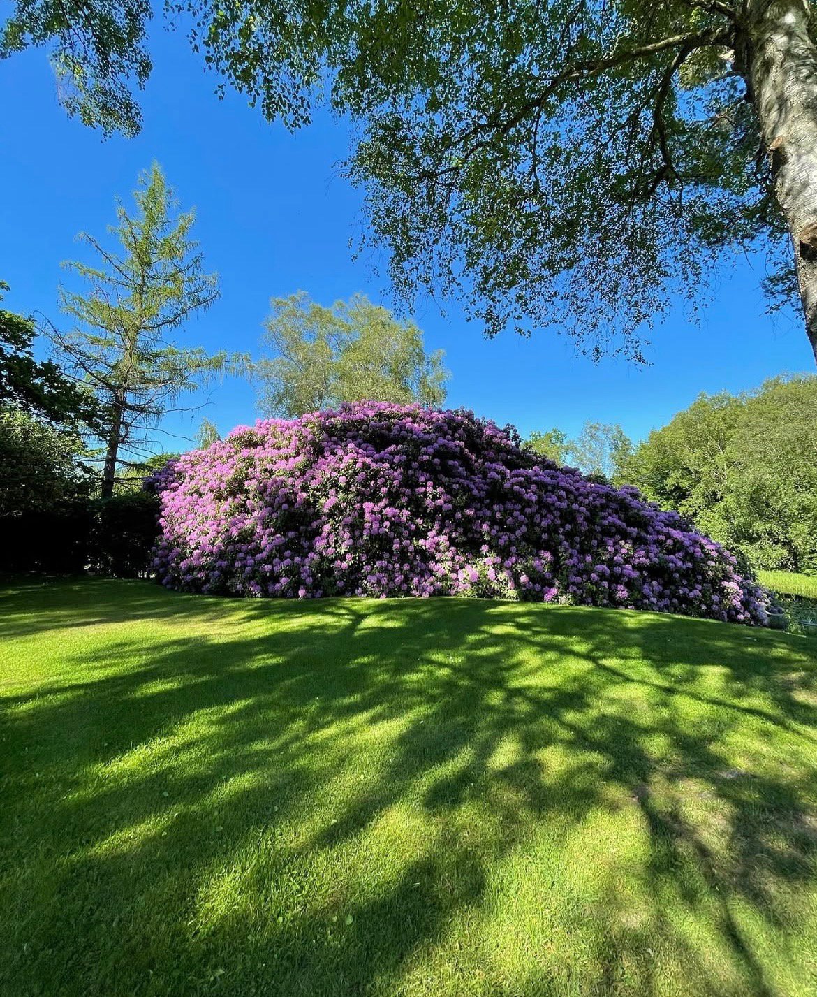 Fremhævet  billede i fuldskærmstilstand. Billede af Hovmosevej 19, Gadevang, 3400 Hillerød