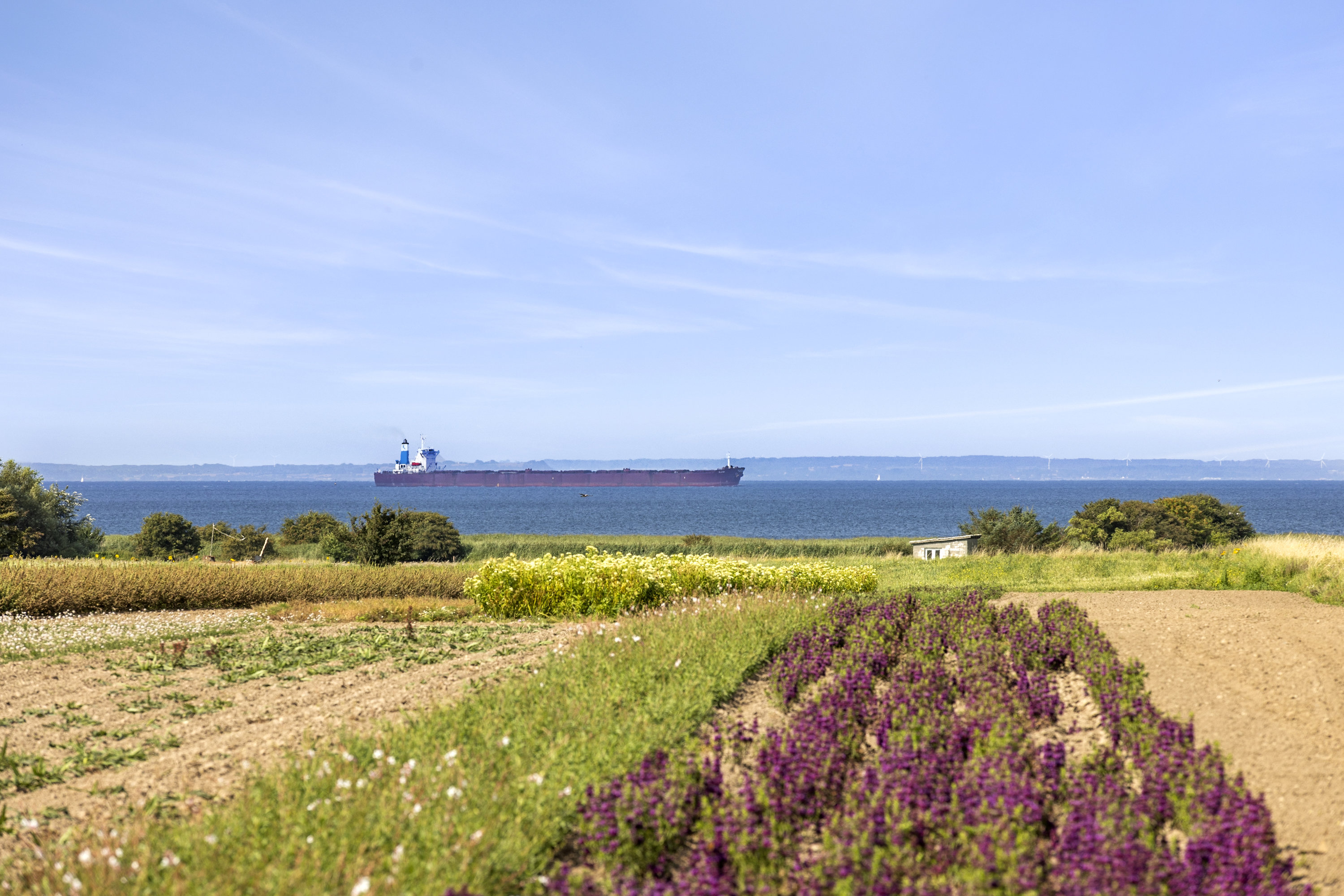 Fremhævet udsigt billede i fuldskærmstilstand. Billede af Egholmvej 19, 4244 Agersø