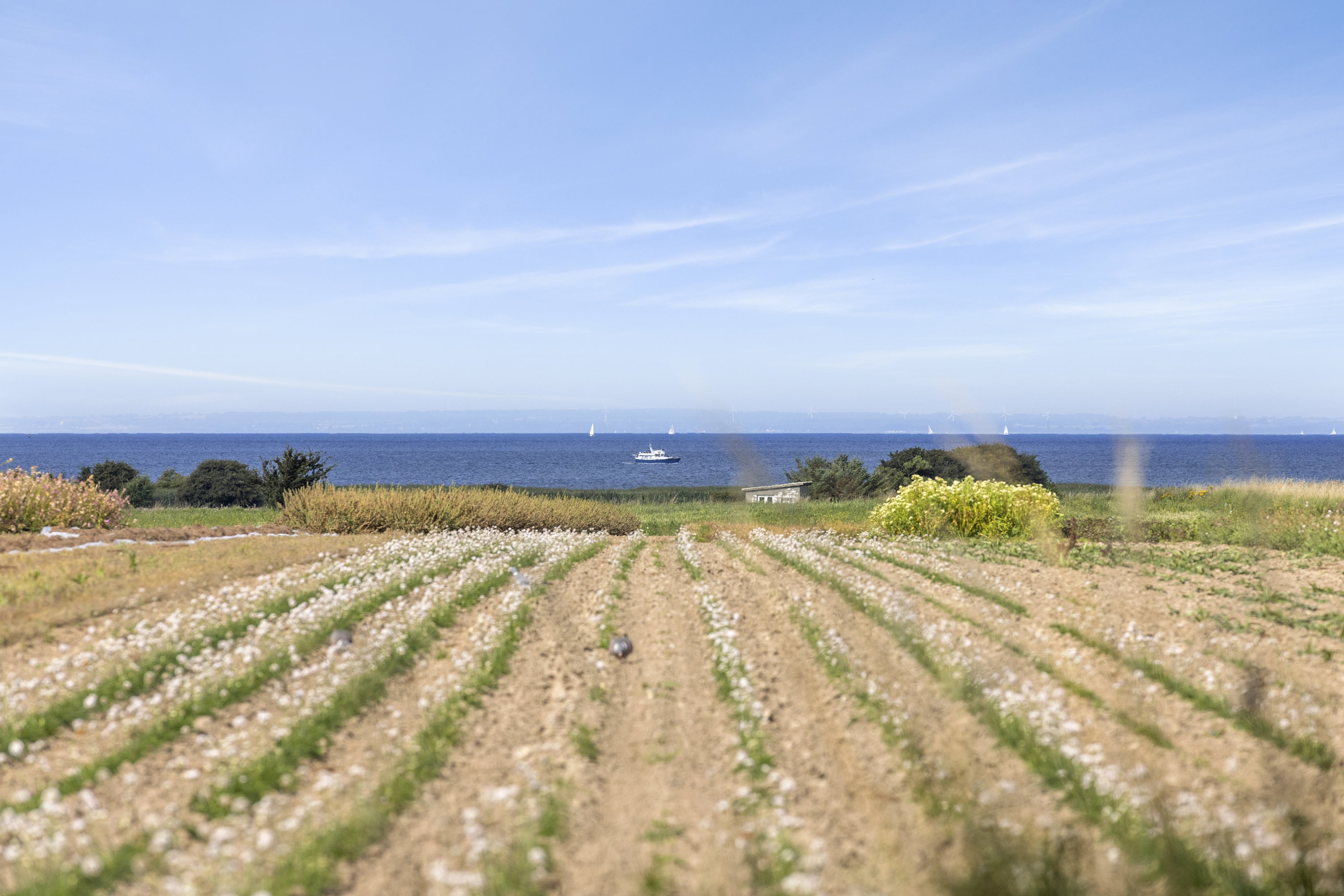 Fremhævet udsigt billede i fuldskærmstilstand. Billede af Egholmvej 19, 4244 Agersø
