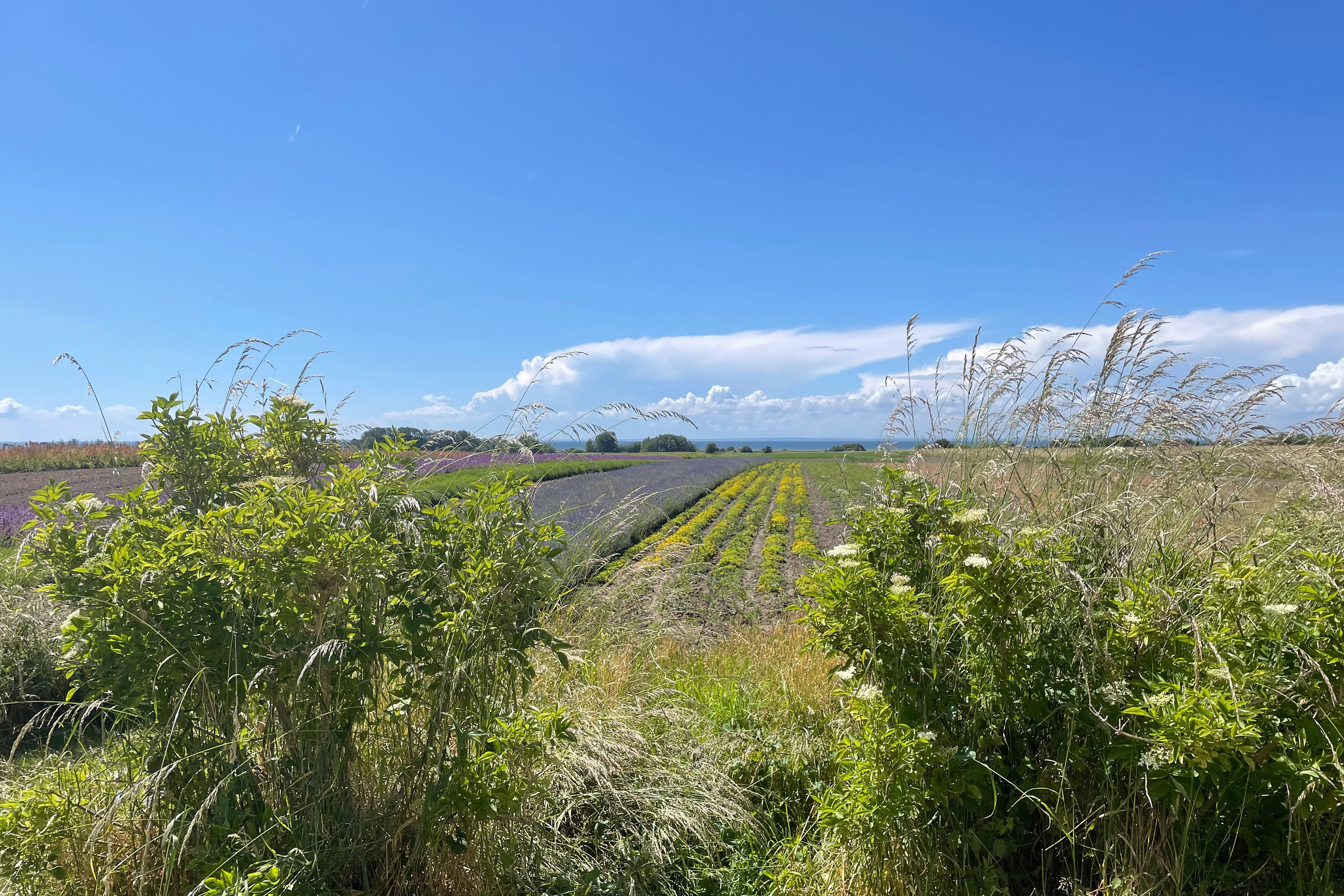 Fremhævet udsigt billede i fuldskærmstilstand. Billede af Egholmvej 19, 4244 Agersø
