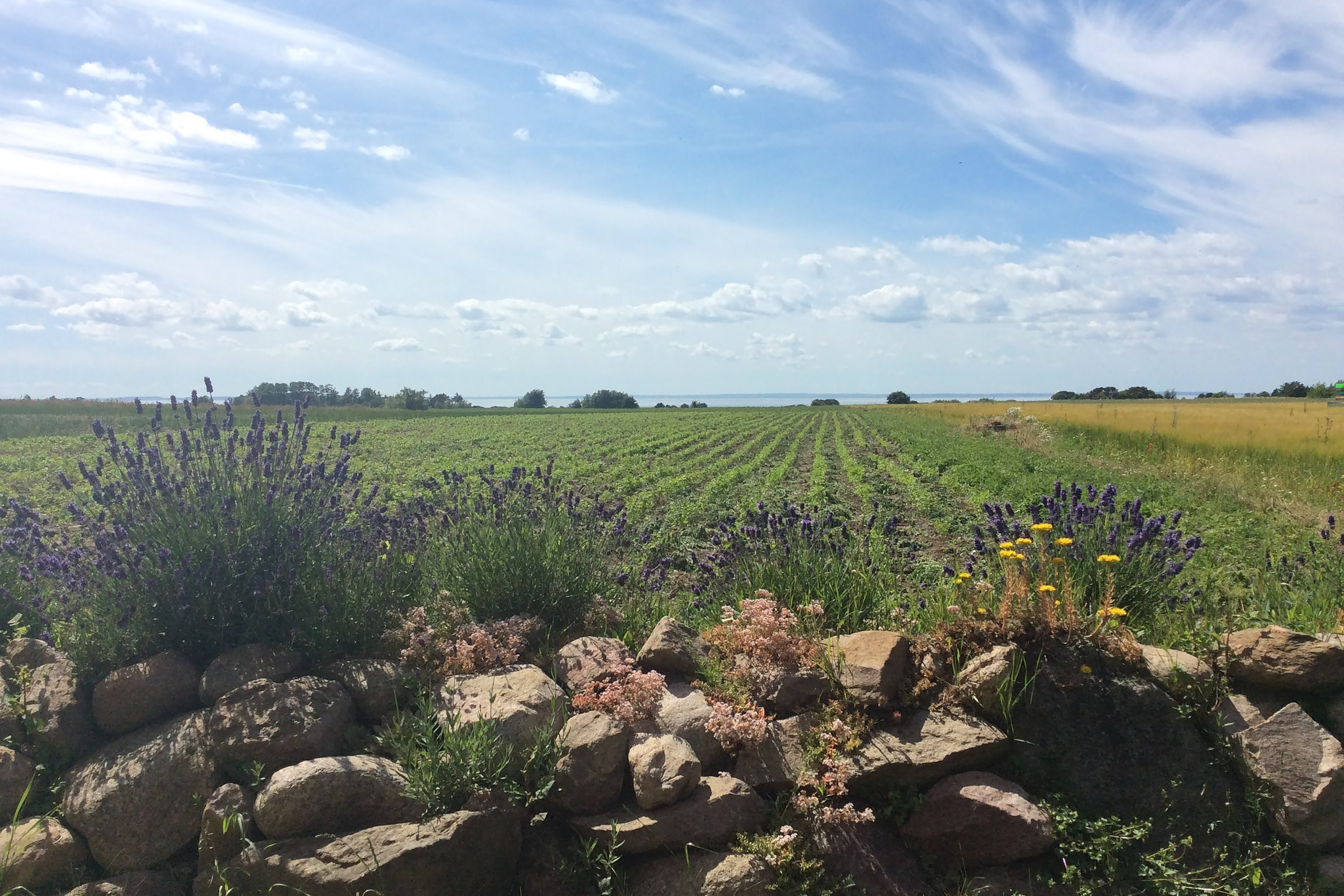 Fremhævet udsigt billede i fuldskærmstilstand. Billede af Egholmvej 19, 4244 Agersø