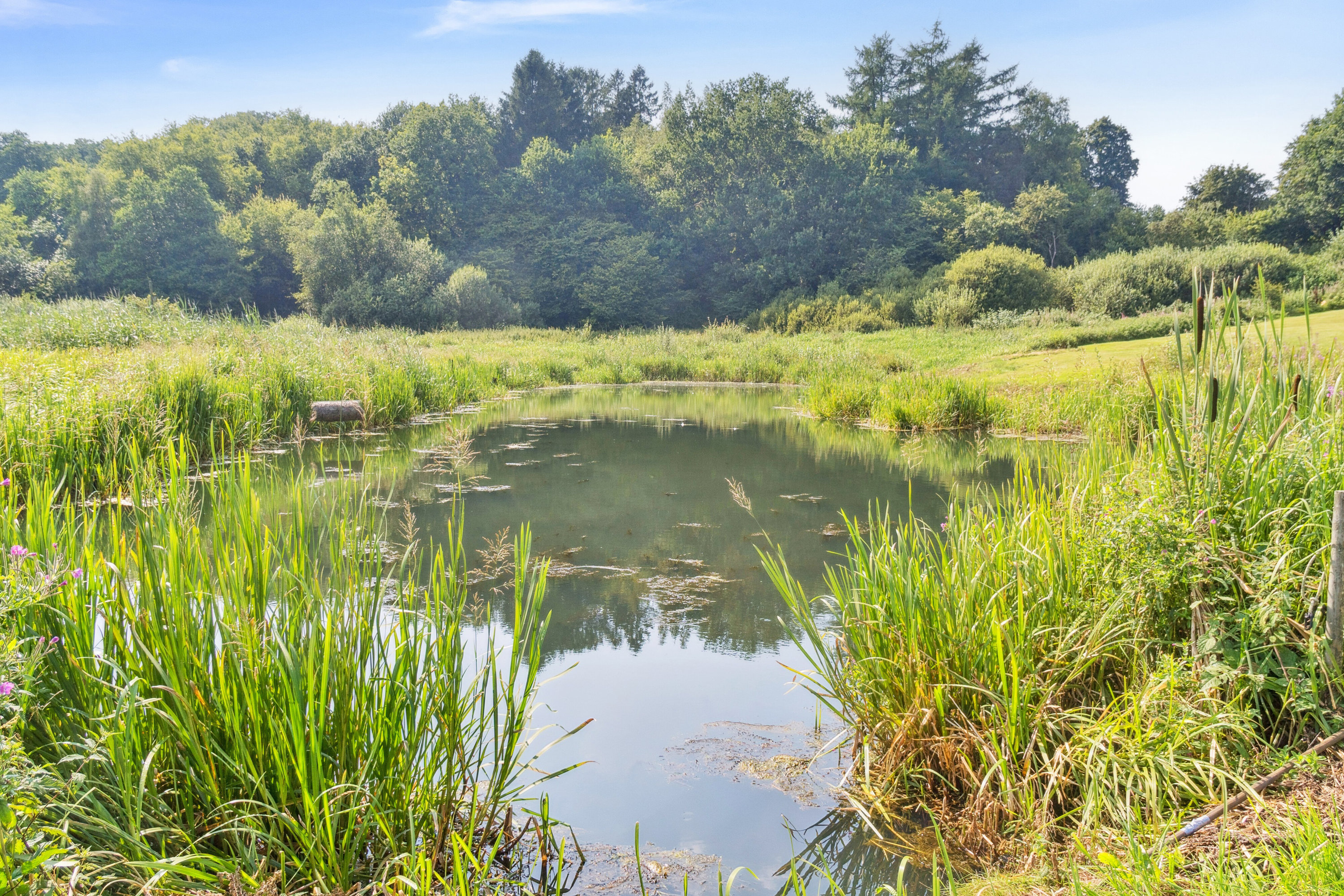 Fremhævet omgivelser billede i fuldskærmstilstand. Billede af Spjarupvej 6, 6040 Egtved