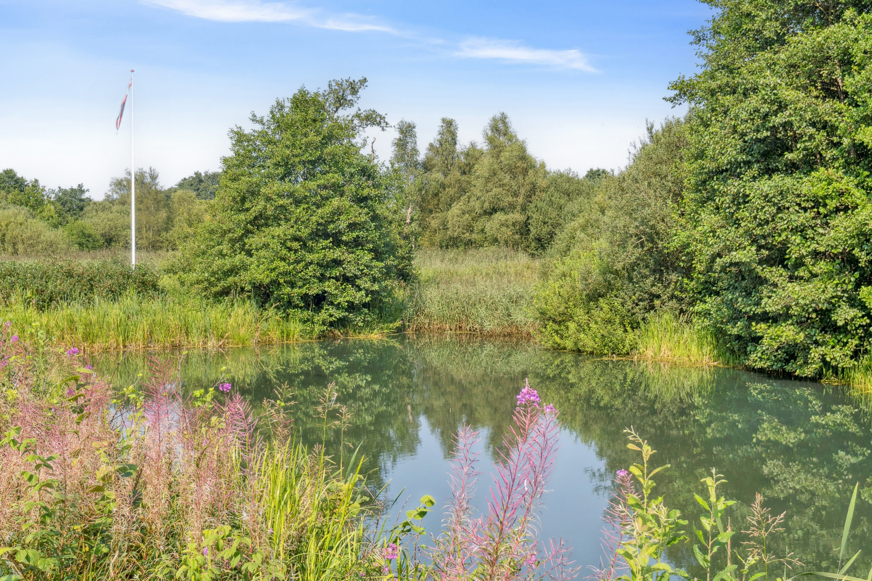 Fremhævet omgivelser billede i fuldskærmstilstand. Billede af Spjarupvej 6, 6040 Egtved