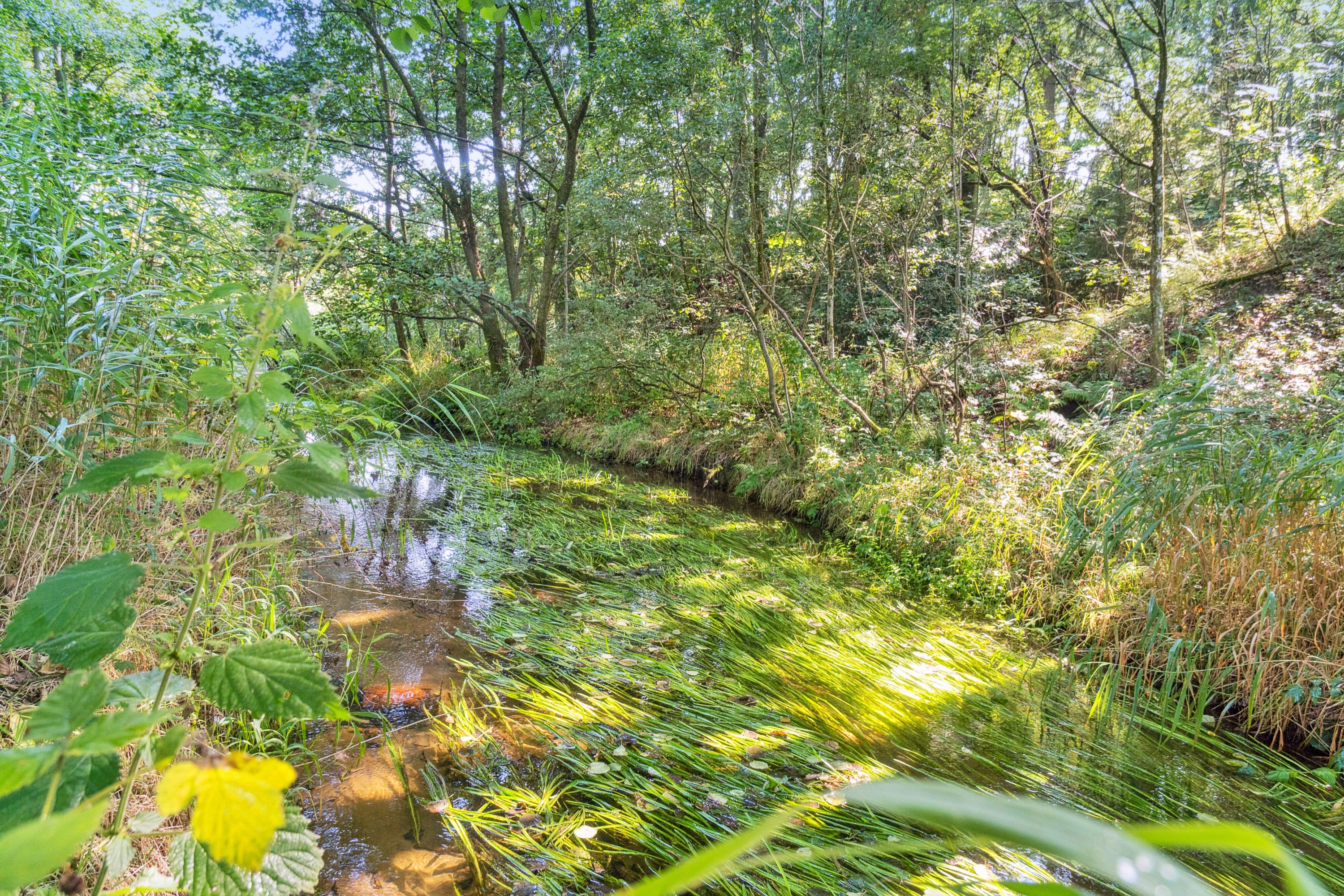 Fremhævet omgivelser billede i fuldskærmstilstand. Billede af Spjarupvej 6, 6040 Egtved