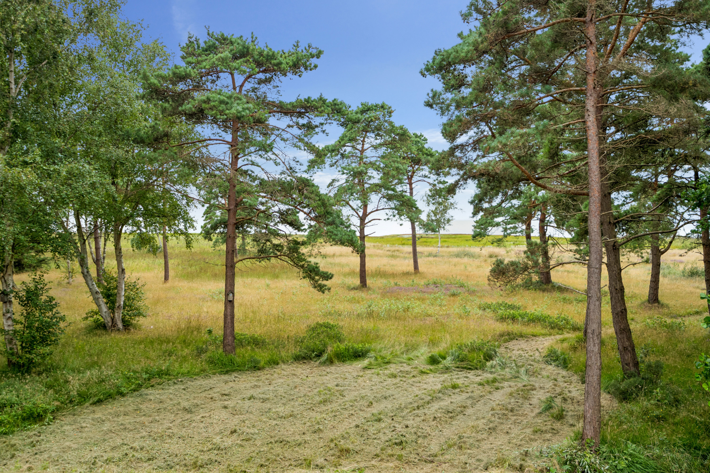 Fremhævet omgivelser billede i fuldskærmstilstand. Billede af Lindholmvej 10, Østerby, 9940 Læsø