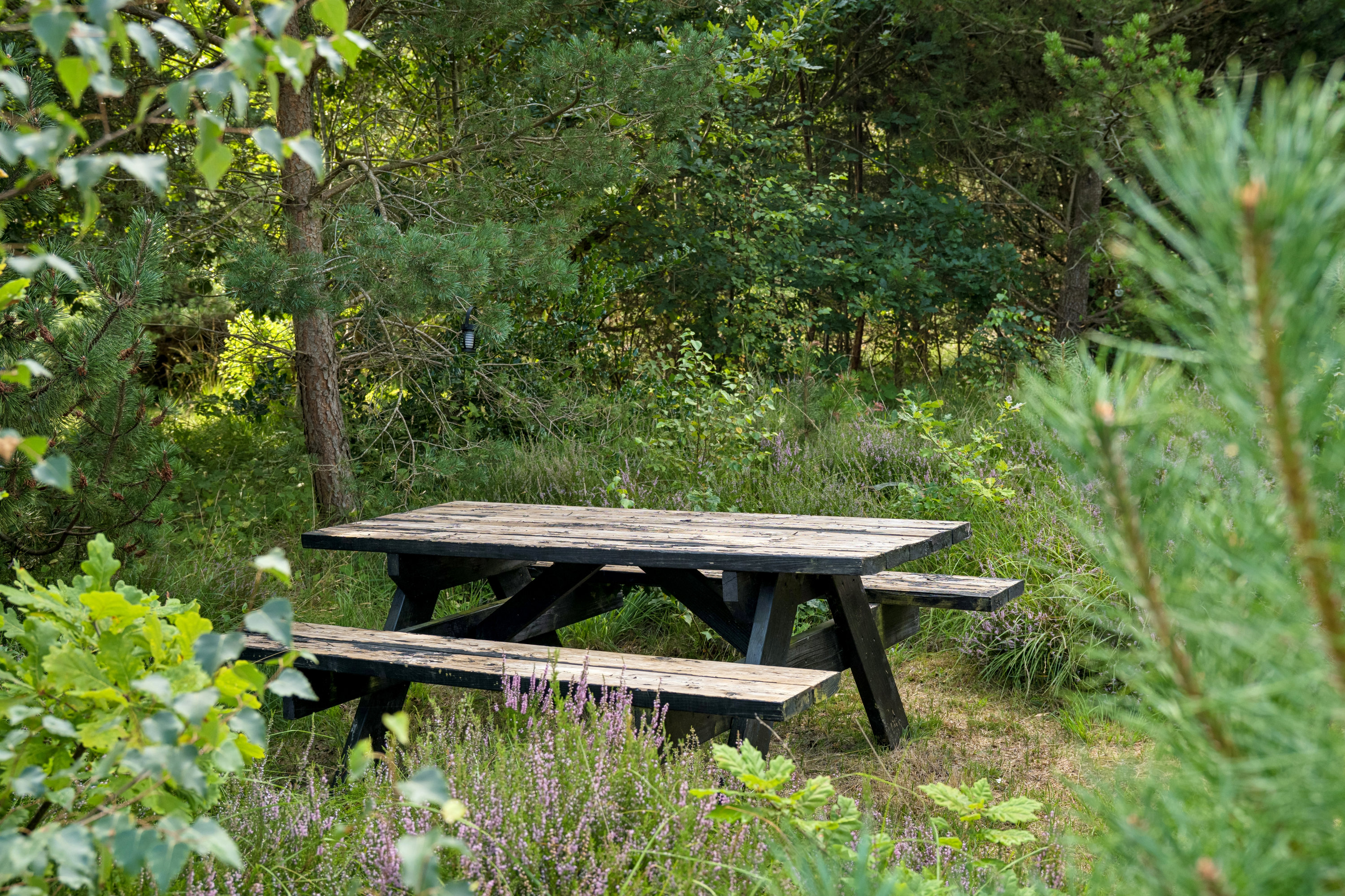 Fremhævet have billede i fuldskærmstilstand. Billede af Hyacintvej 1, Vesterø, 9940 Læsø