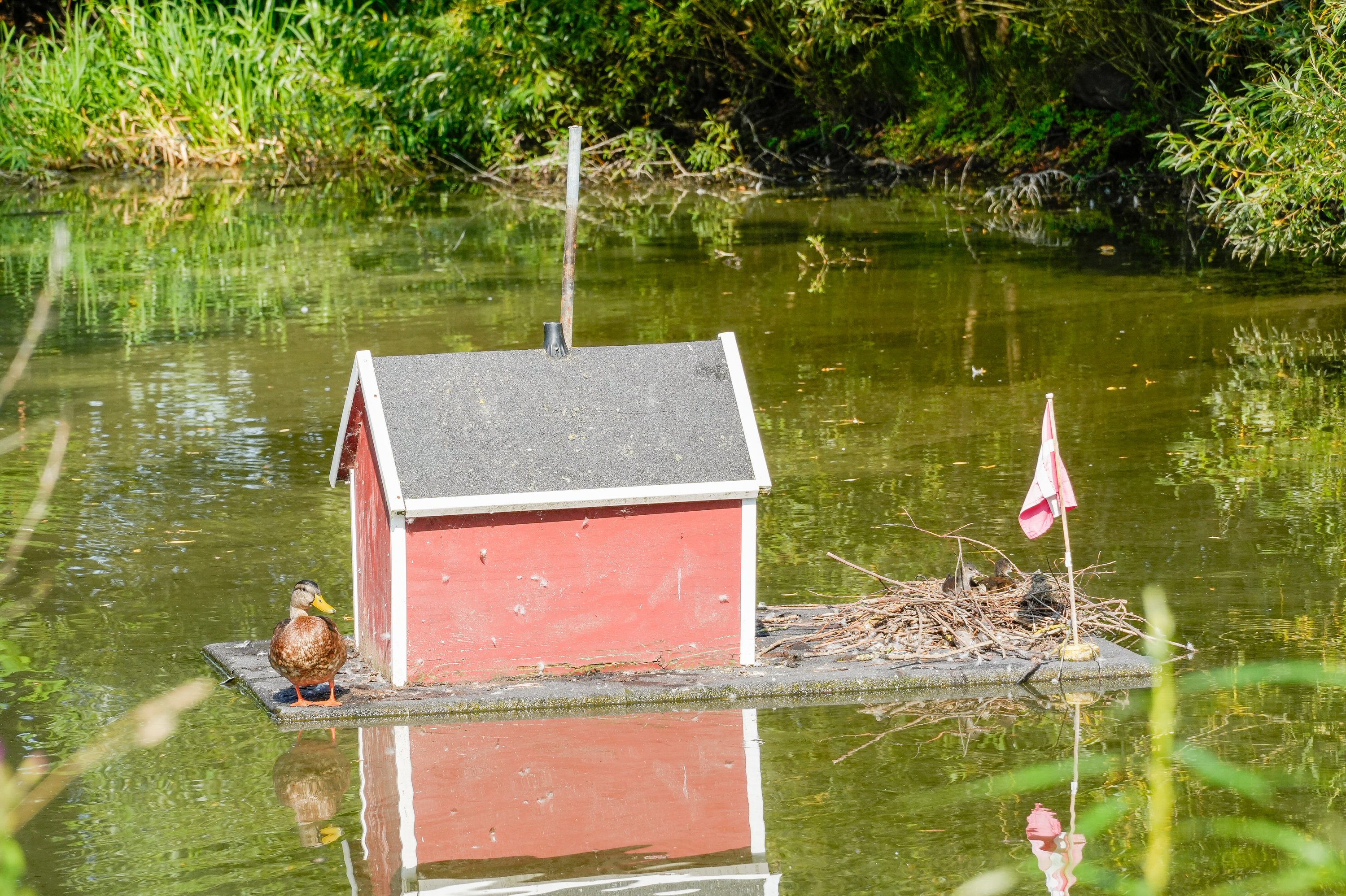 Fremhævet andet billede i fuldskærmstilstand. Billede af Pederstrupvej 61B, 2750 Ballerup