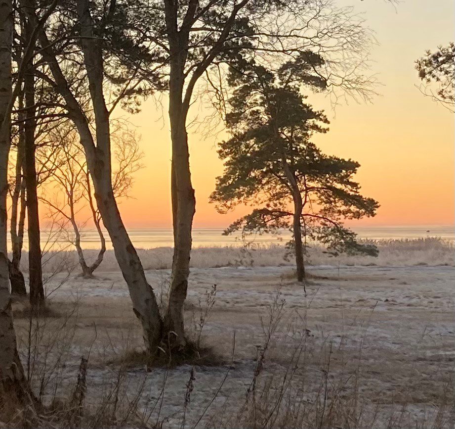 Fremhævet  billede i fuldskærmstilstand. Billede af Lindholmvej 10, Østerby, 9940 Læsø
