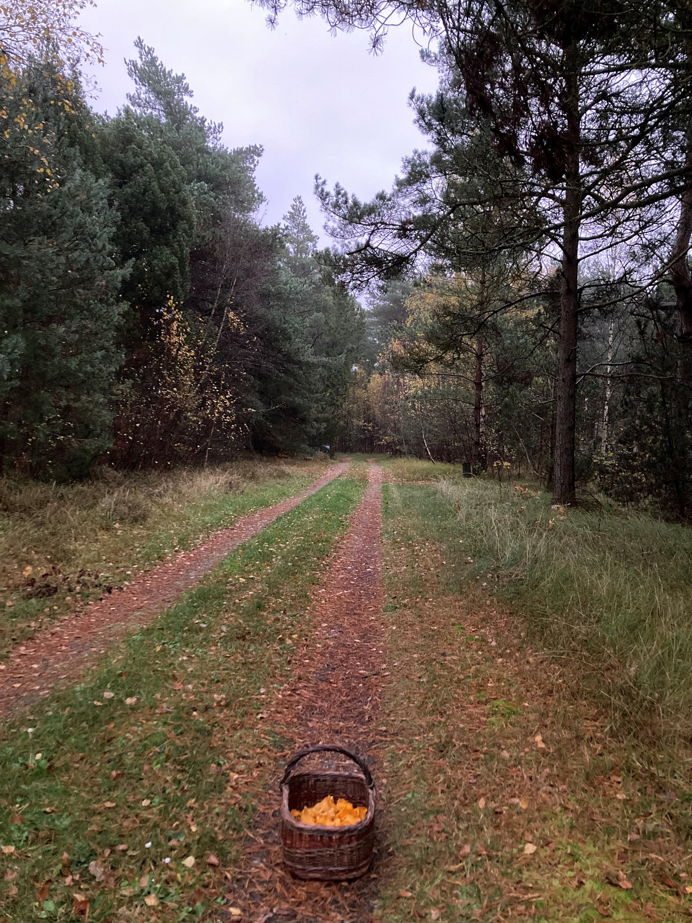 Fremhævet  billede i fuldskærmstilstand. Billede af Lindholmvej 10, Østerby, 9940 Læsø