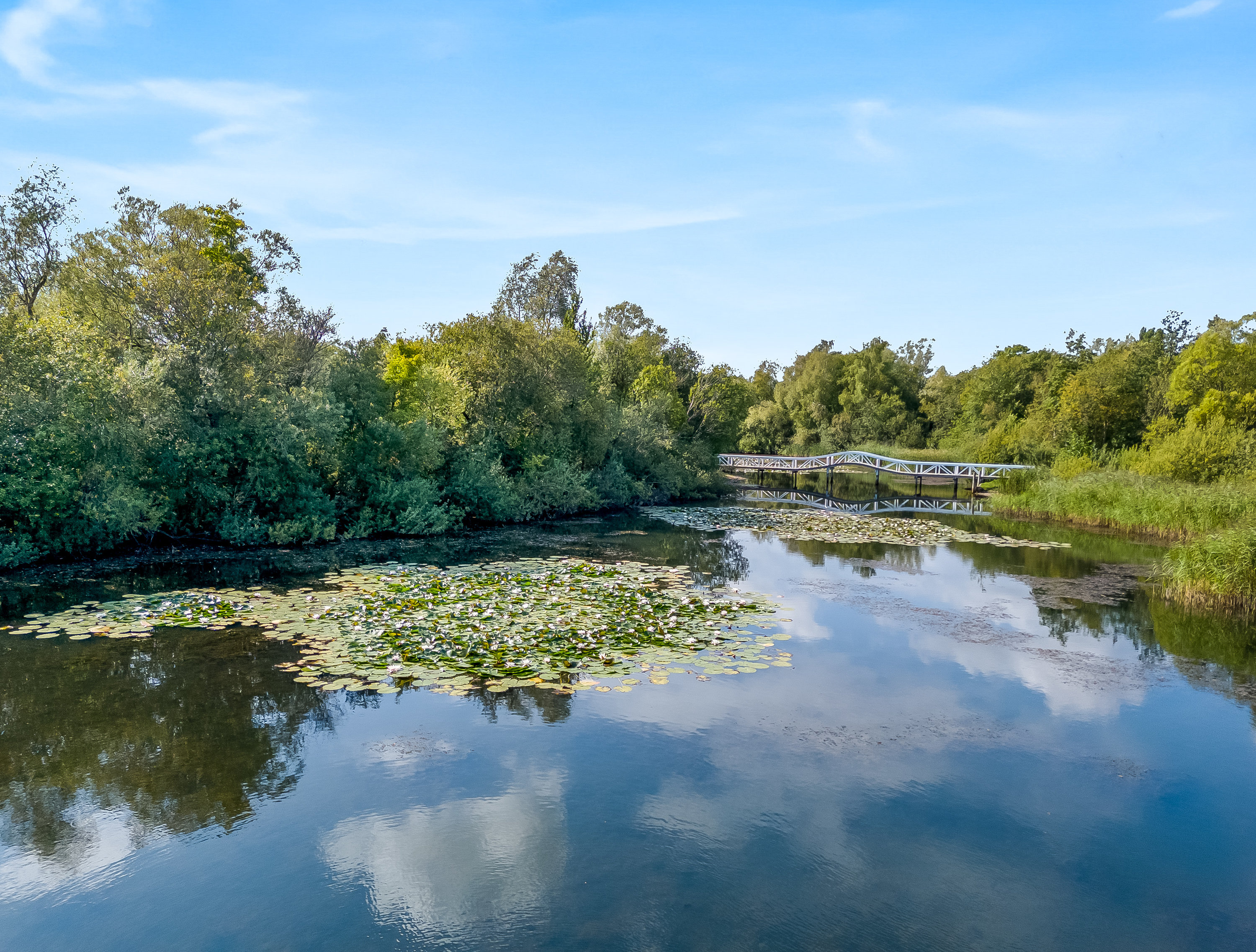 Fremhævet område billede i fuldskærmstilstand. Billede af Kolkevej 7A, 4892 Kettinge