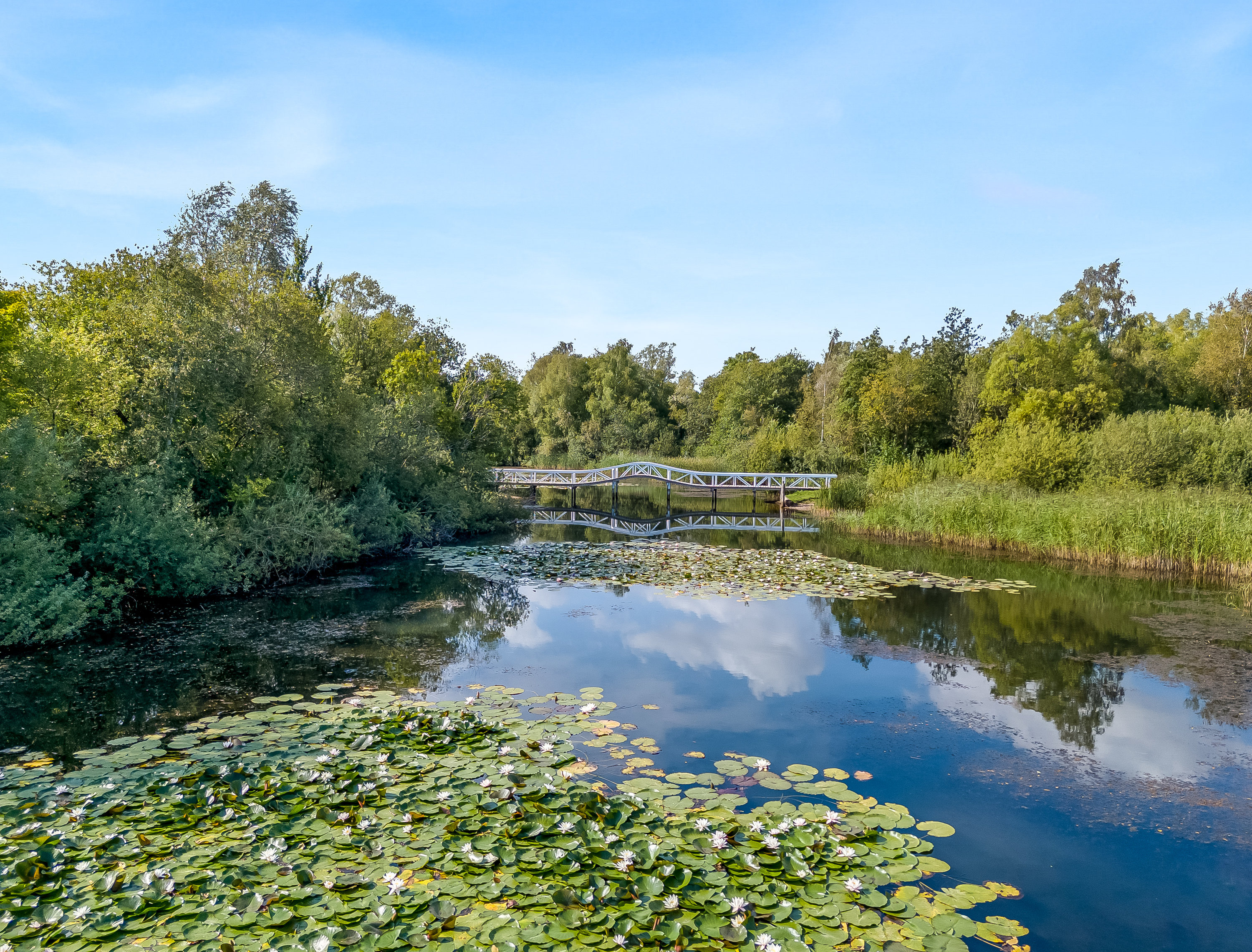 Fremhævet område billede i fuldskærmstilstand. Billede af Kolkevej 7A, 4892 Kettinge