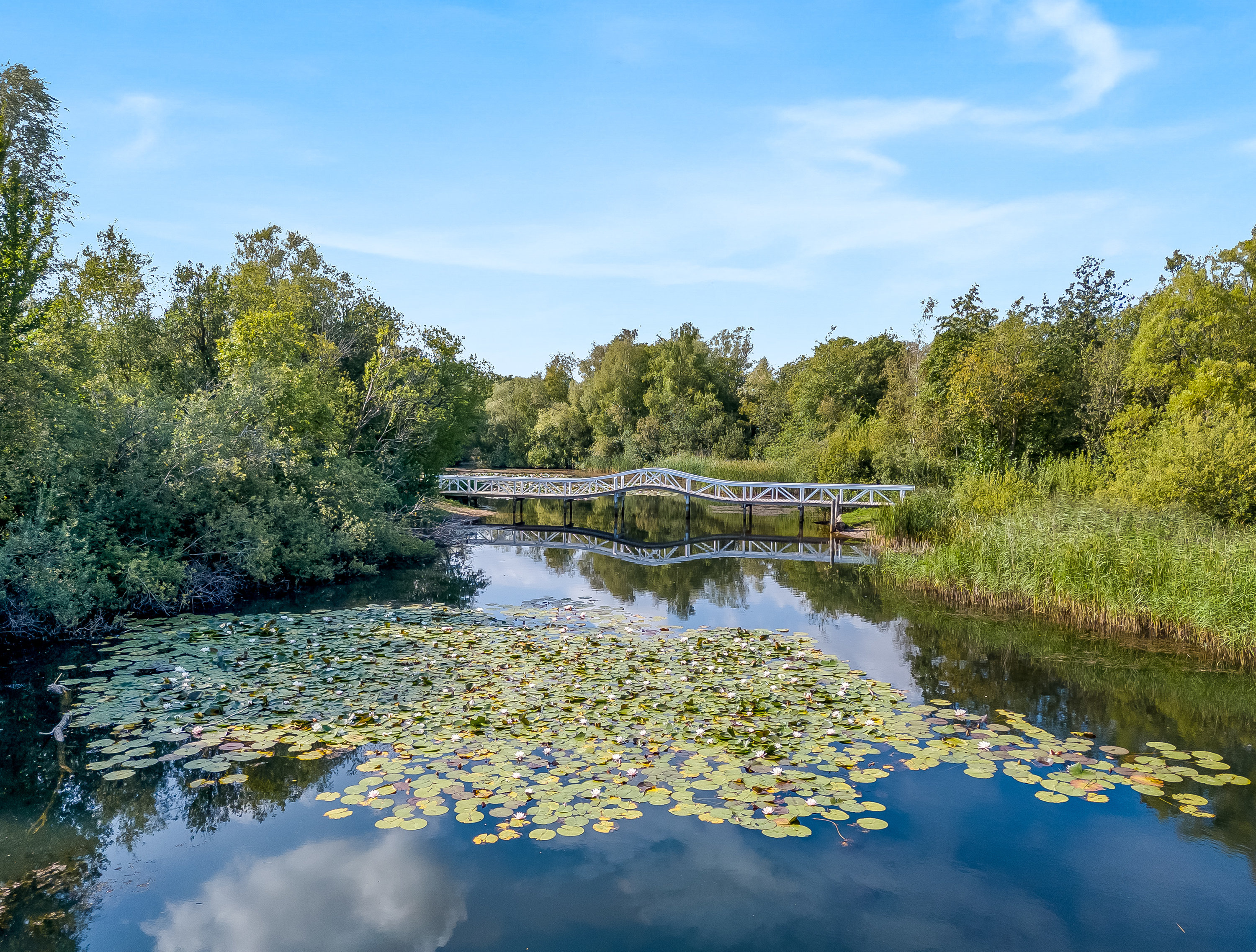 Fremhævet område billede i fuldskærmstilstand. Billede af Kolkevej 7A, 4892 Kettinge