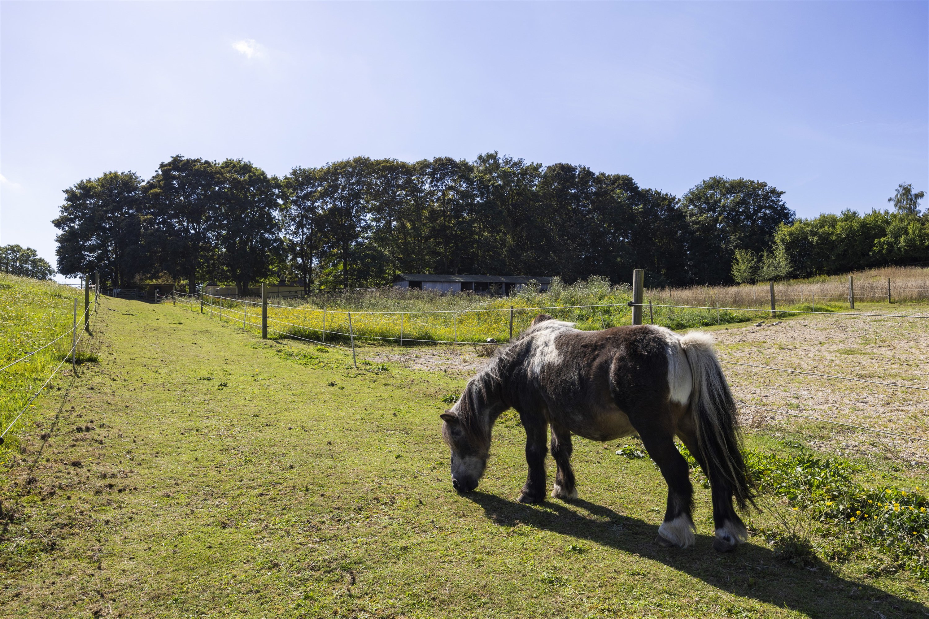 Fremhævet andet billede i fuldskærmstilstand. Billede af Stumpedyssevej 2, 2970 Hørsholm