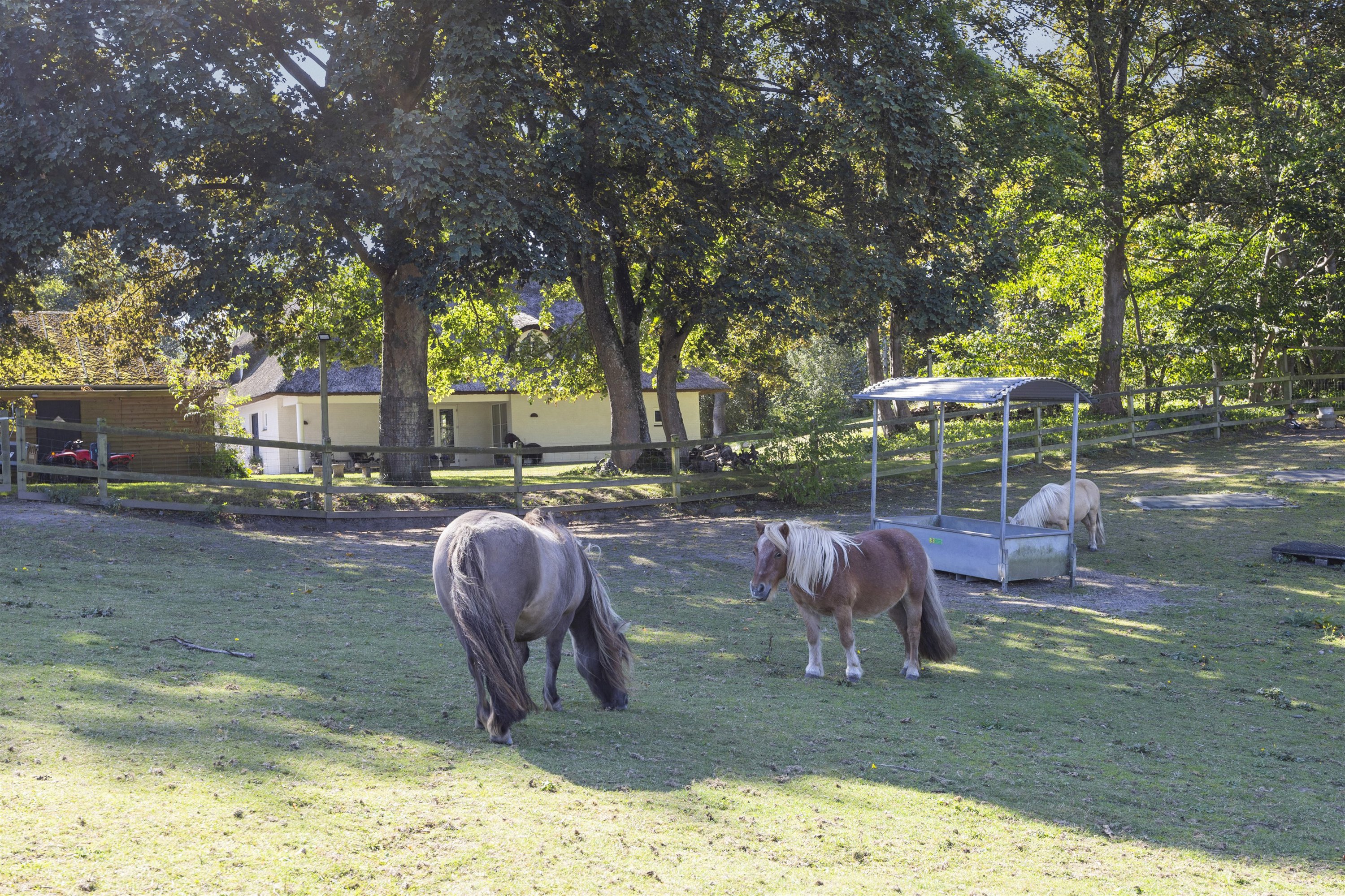 Fremhævet andet billede i fuldskærmstilstand. Billede af Stumpedyssevej 2, 2970 Hørsholm