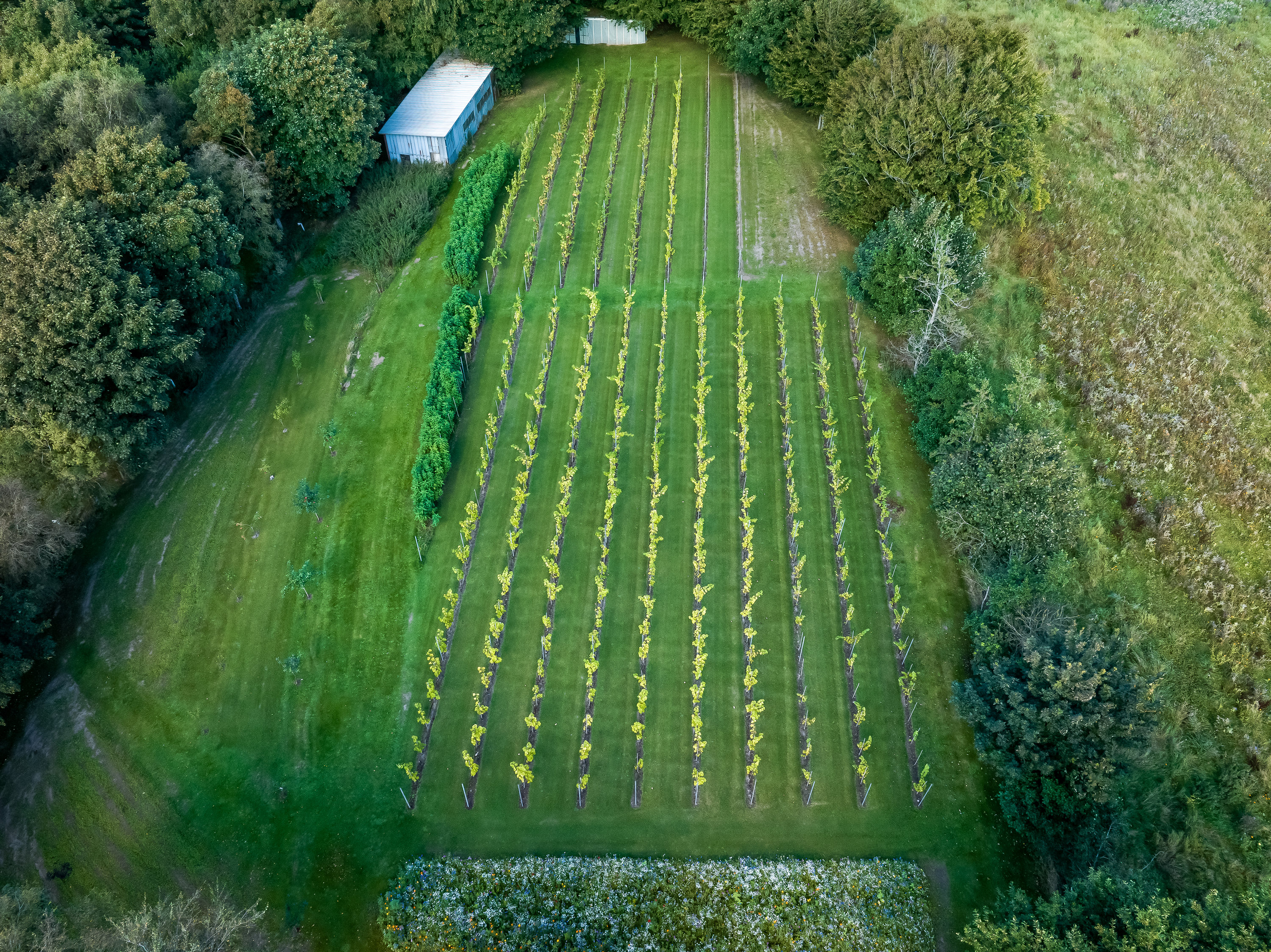 Fremhævet  billede i fuldskærmstilstand. Billede af Klarupvej 209, Morild, 9830 Tårs