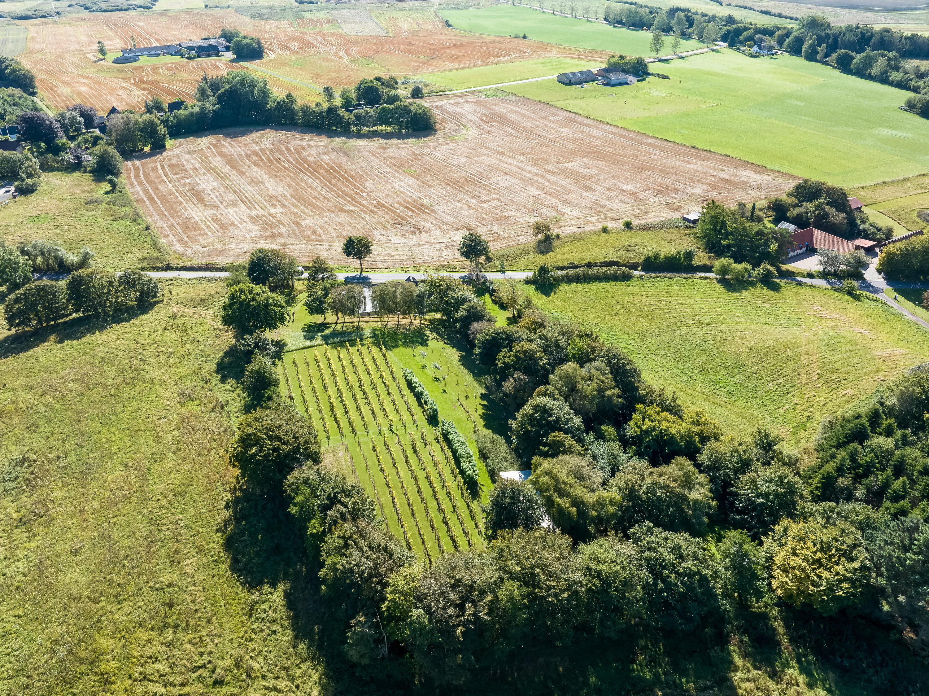 Fremhævet  billede i fuldskærmstilstand. Billede af Klarupvej 209, Morild, 9830 Tårs