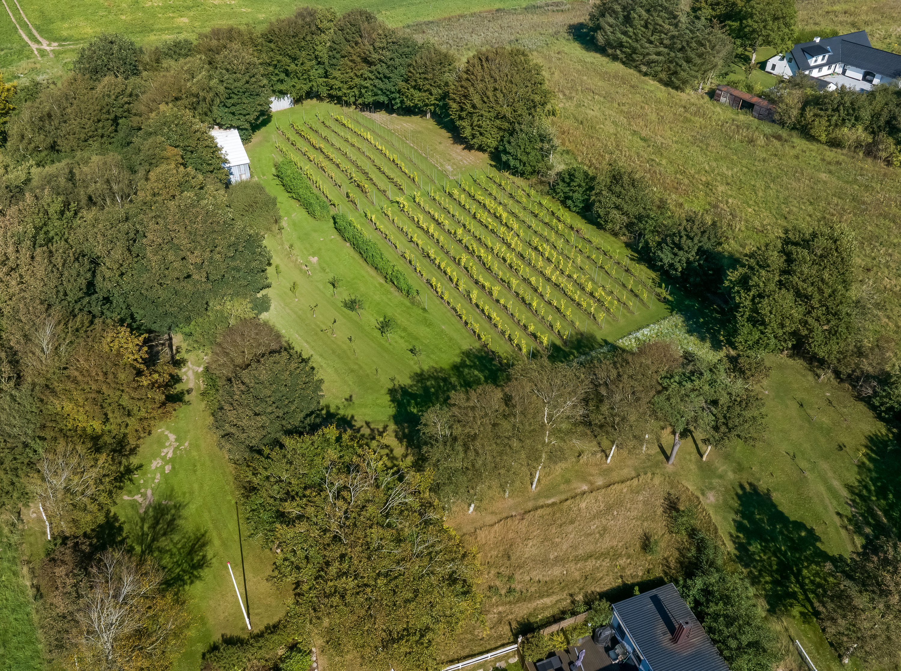 Fremhævet  billede i fuldskærmstilstand. Billede af Klarupvej 209, Morild, 9830 Tårs