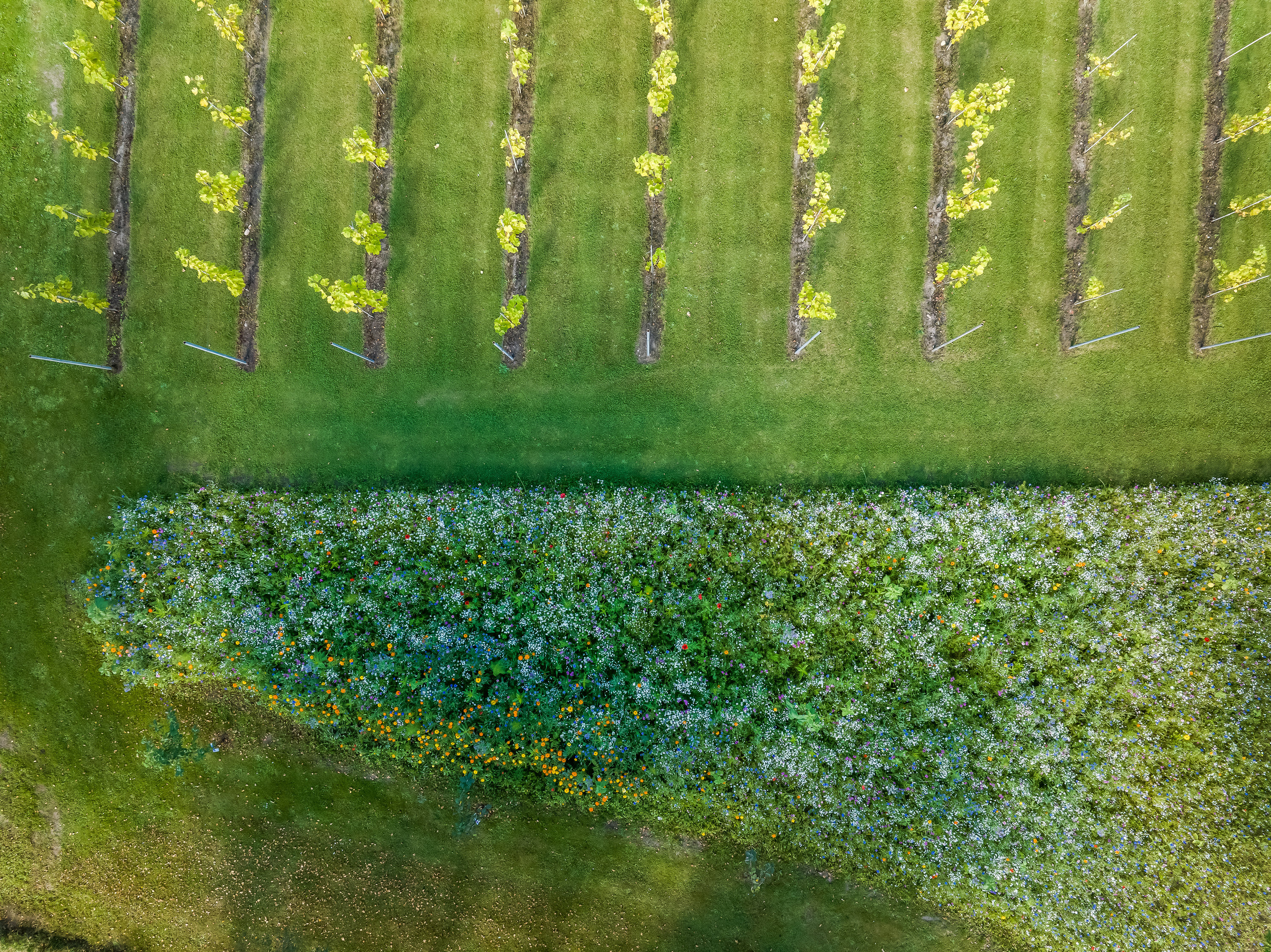 Fremhævet  billede i fuldskærmstilstand. Billede af Klarupvej 209, Morild, 9830 Tårs