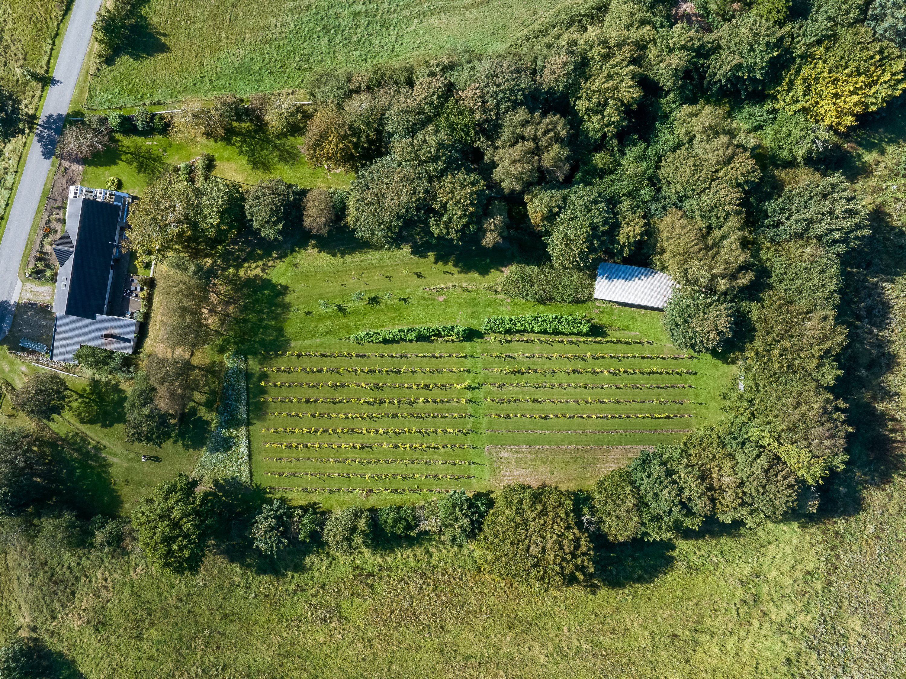 Fremhævet  billede i fuldskærmstilstand. Billede af Klarupvej 209, Morild, 9830 Tårs