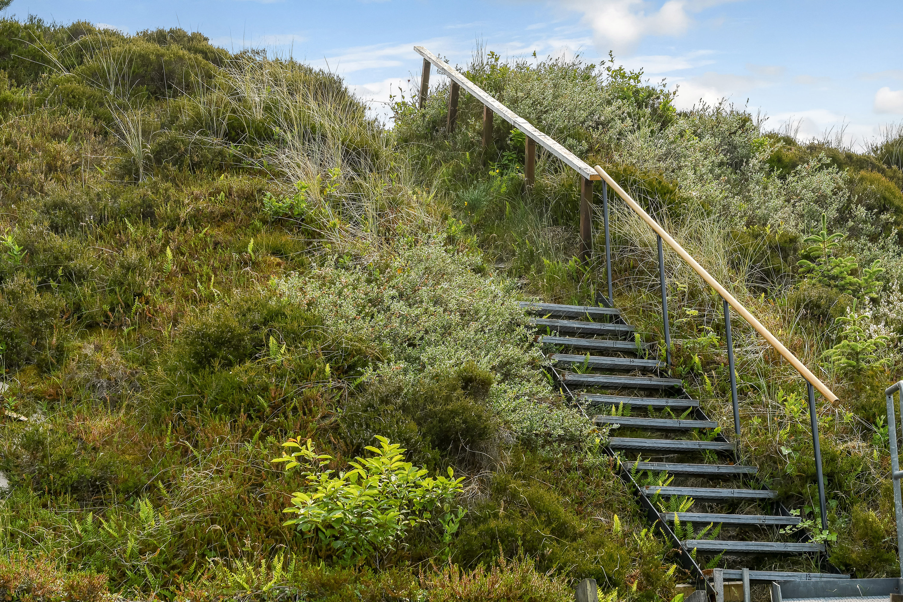 Fremhævet  billede i fuldskærmstilstand. Billede af Porsevej 10, Henne Strand, 6854 Henne