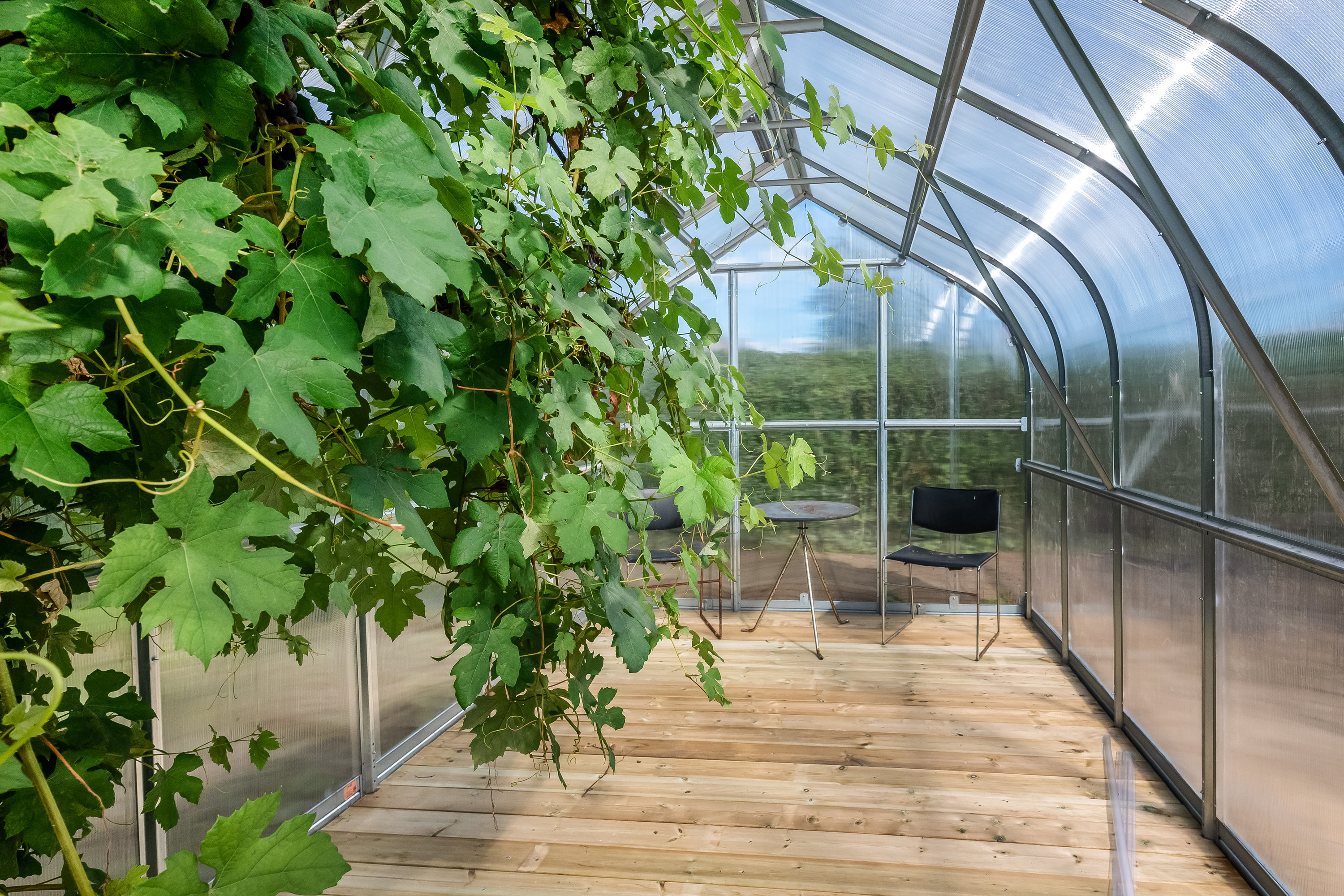 Fremhævet drivhus billede i fuldskærmstilstand. Billede af Bogfinkevej 28, Rindum, 6950 Ringkøbing