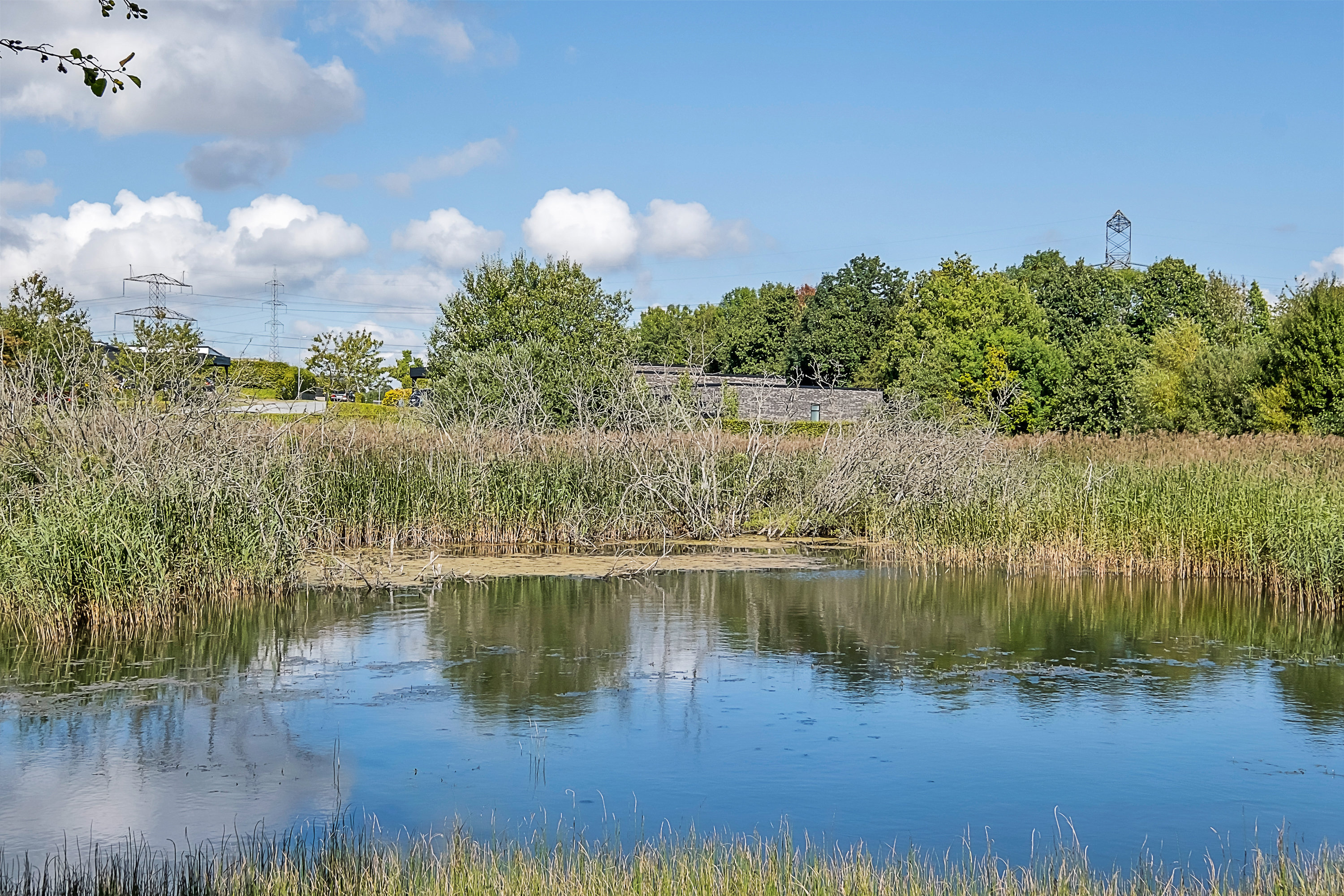 Fremhævet omgivelser billede i fuldskærmstilstand. Billede af Hjortshøjvangen 118, 8530 Hjortshøj