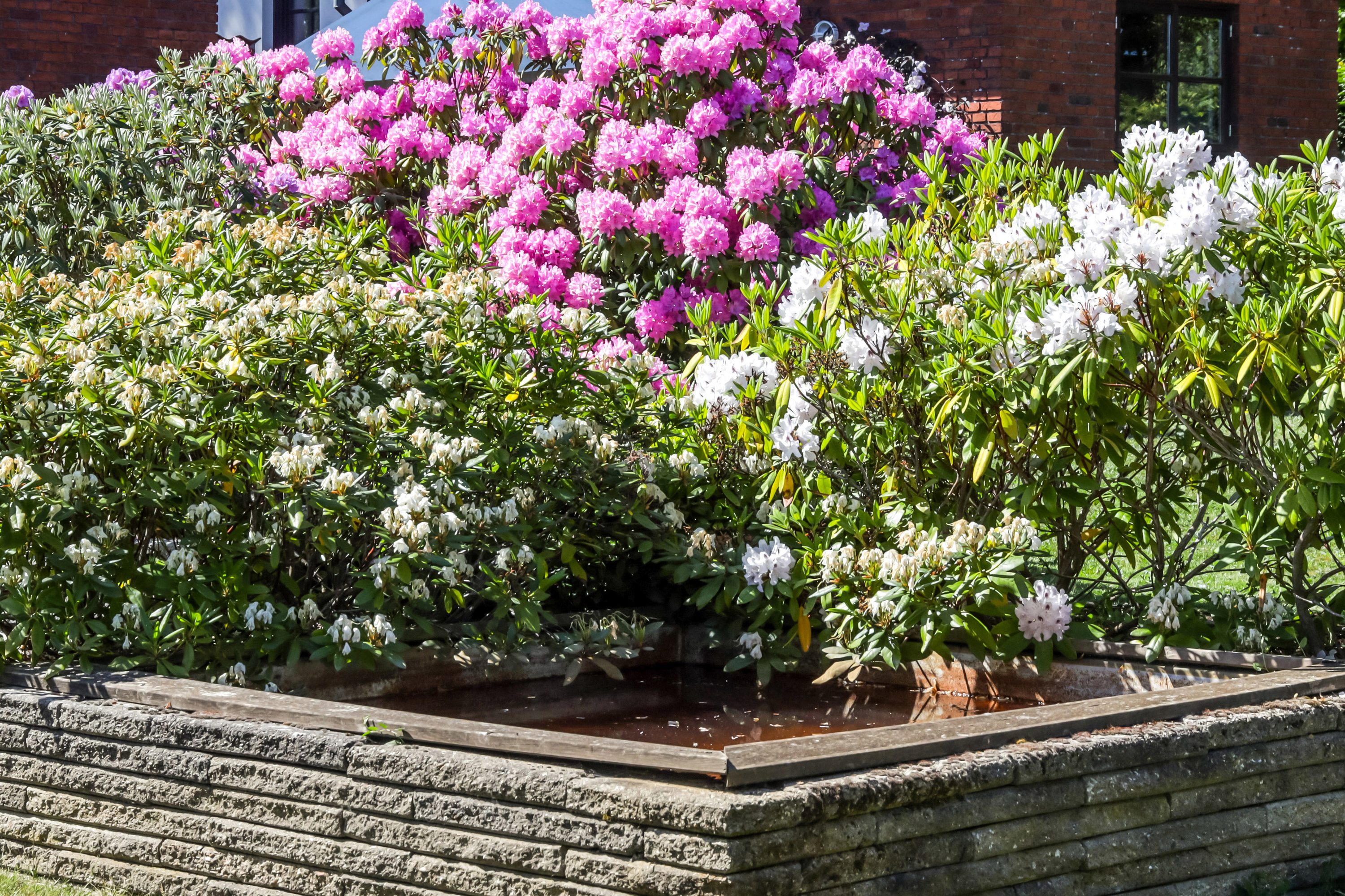 Fremhævet  billede i fuldskærmstilstand. Billede af Svendborgvej 16, 5772 Kværndrup