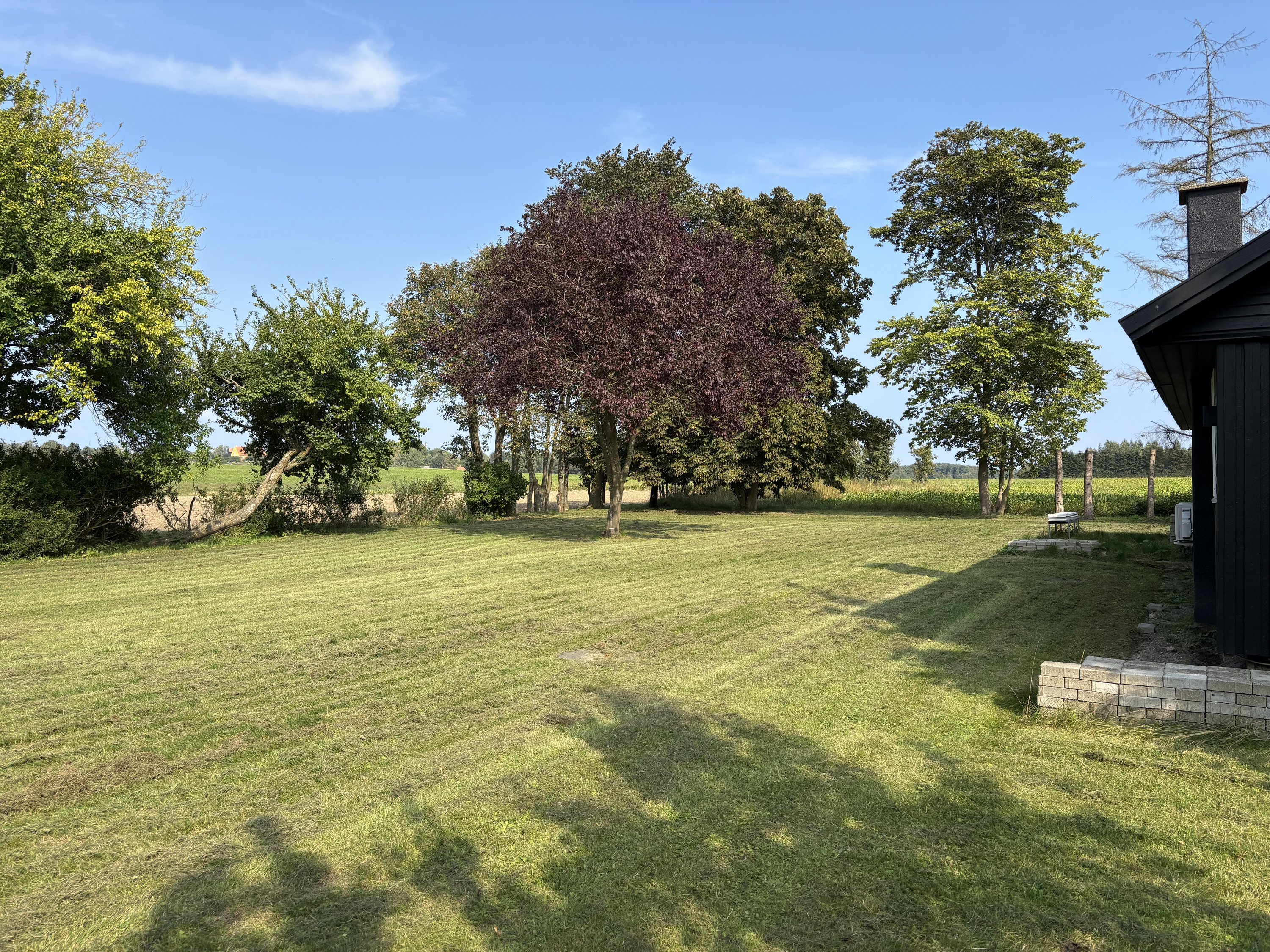 Miniaturebillede 1: have. Billede af Nygaardsvej 5, 4953 Vesterborg