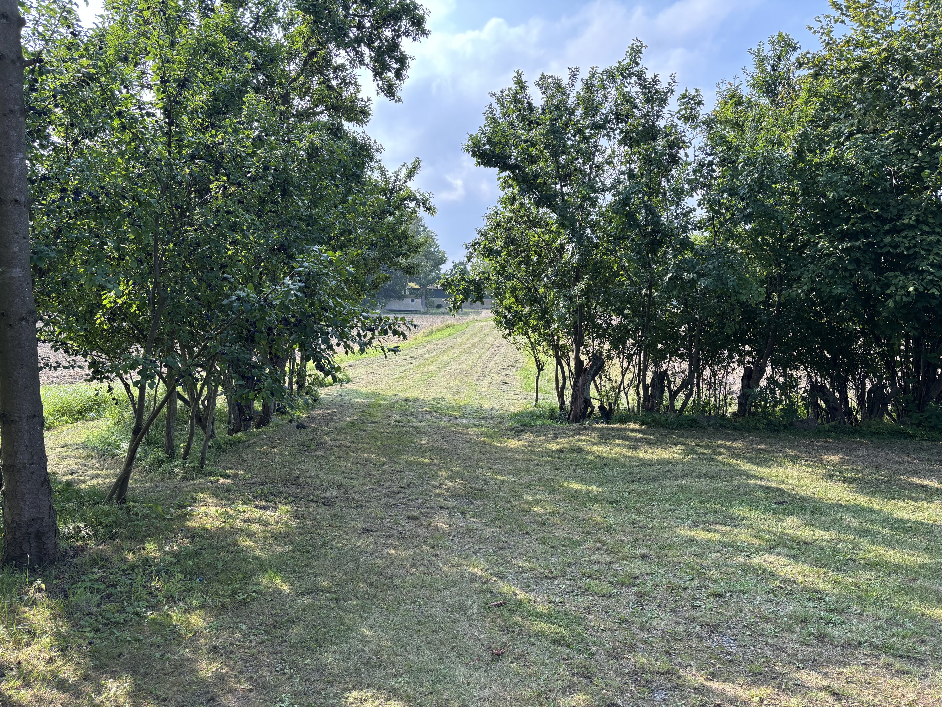 Fremhævet have billede i fuldskærmstilstand. Billede af Nygaardsvej 5, 4953 Vesterborg