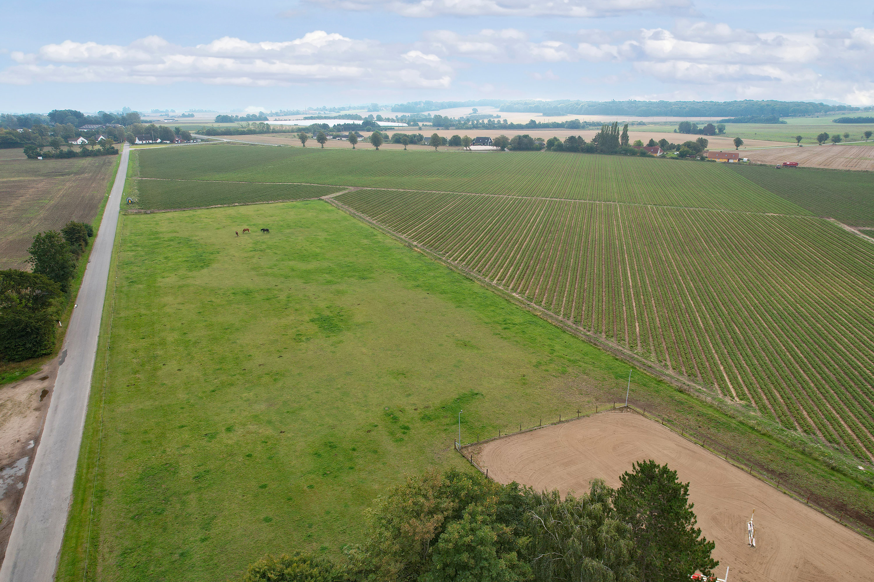 Fremhævet hestefold billede i fuldskærmstilstand. Billede af Vrangstrupvej 88, Vrangstrup, 4171 Glumsø