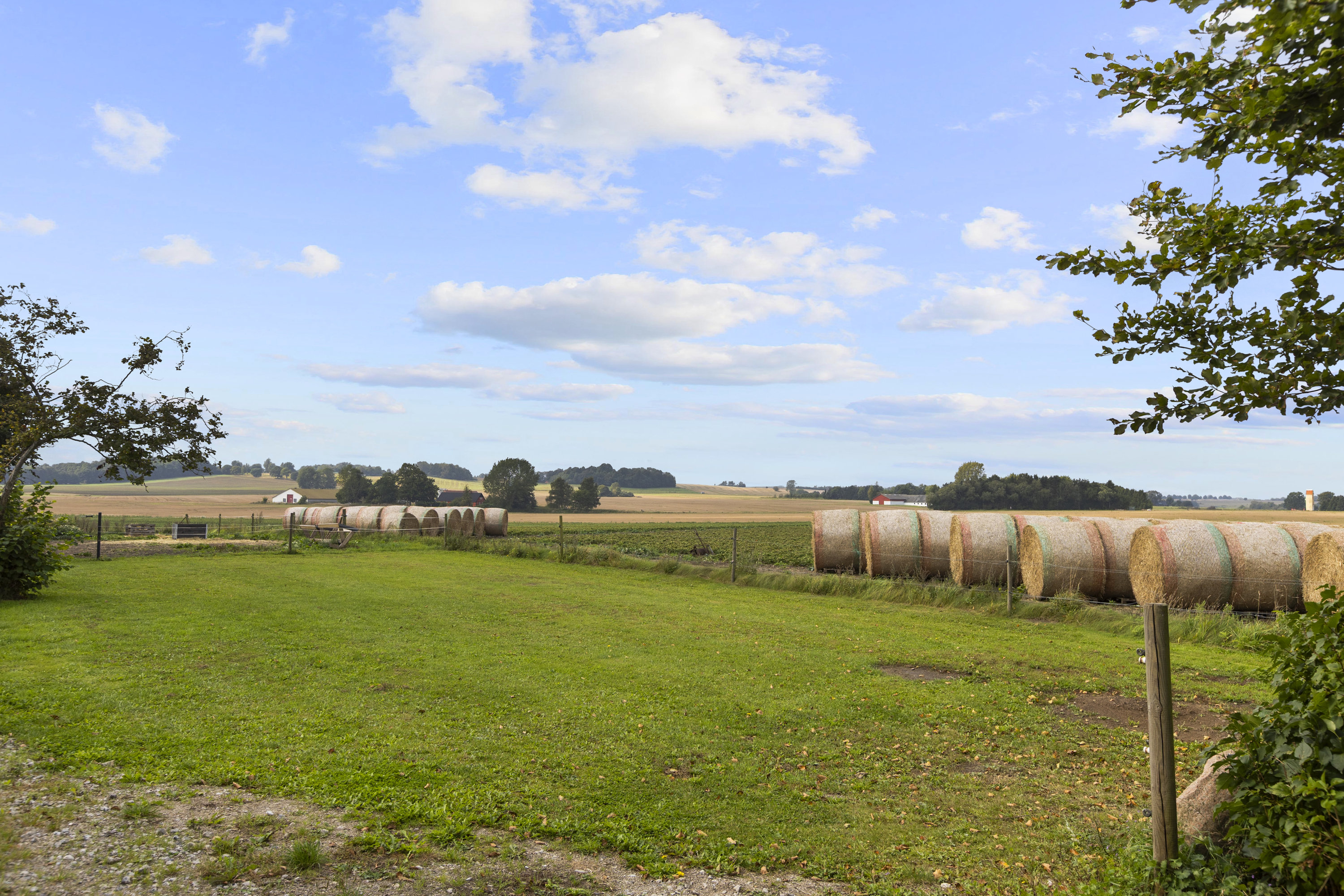 Fremhævet hestefold billede i fuldskærmstilstand. Billede af Vrangstrupvej 88, Vrangstrup, 4171 Glumsø
