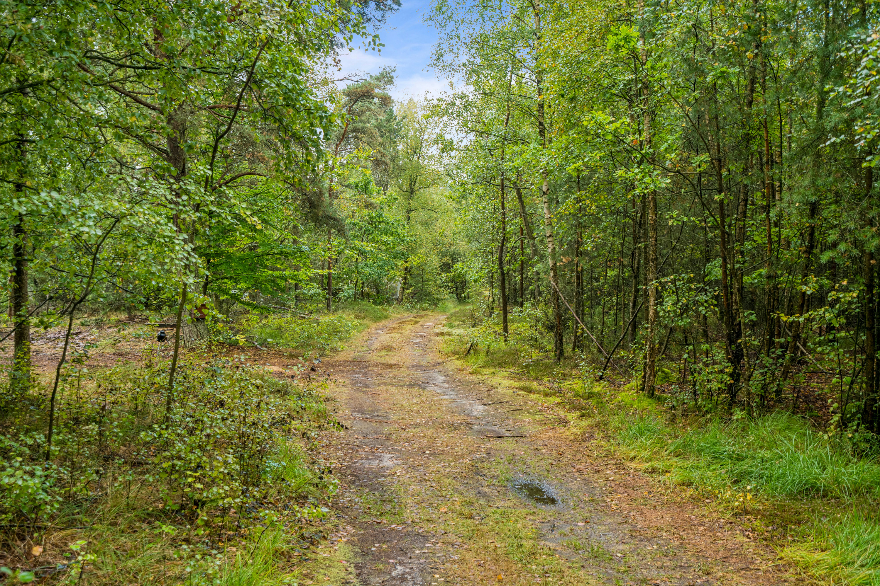 Fremhævet grund billede i fuldskærmstilstand. Billede af På Remmerne 27, Remmerne, 9940 Læsø