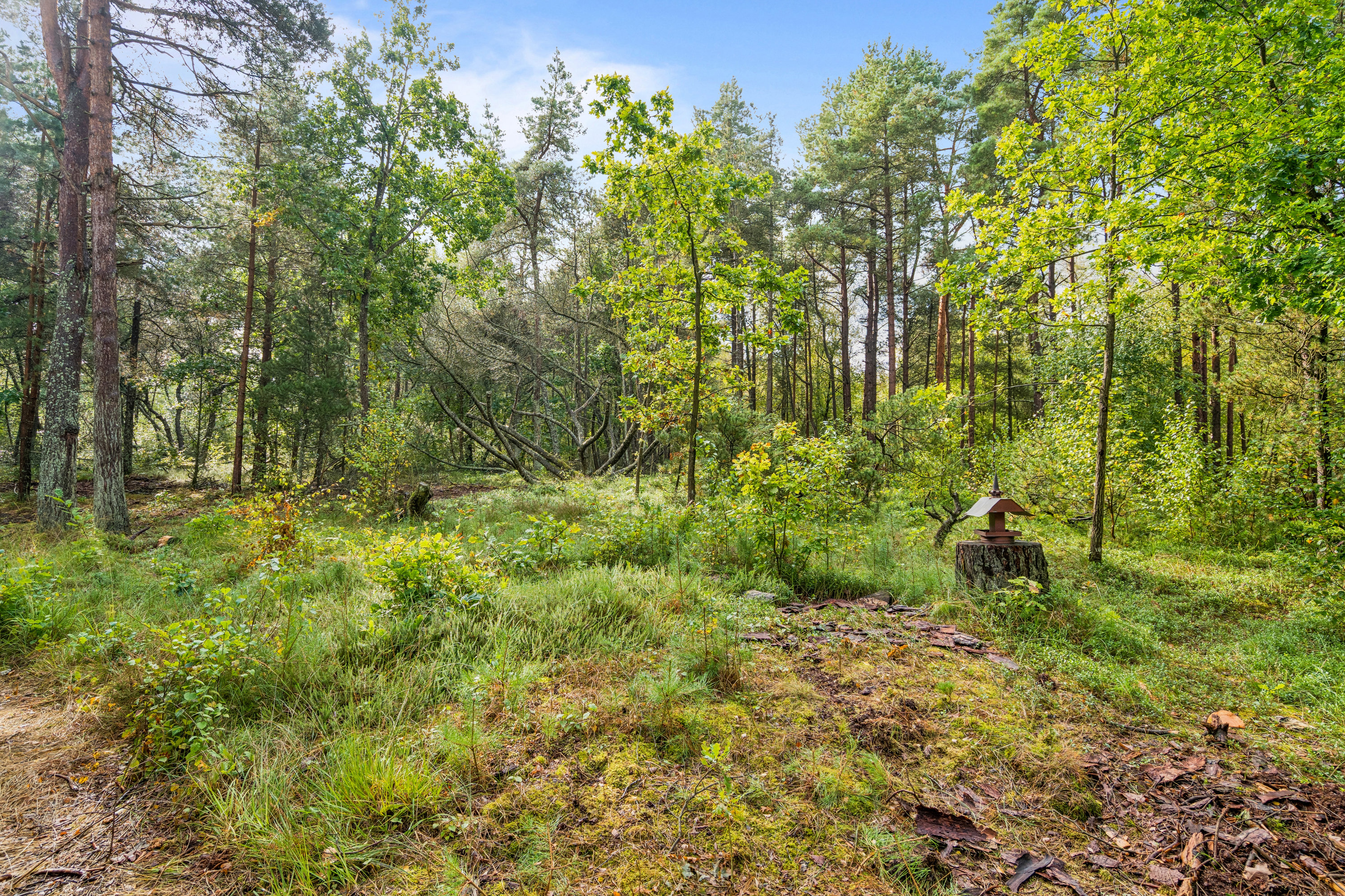 Fremhævet have billede i fuldskærmstilstand. Billede af På Remmerne 27, Remmerne, 9940 Læsø