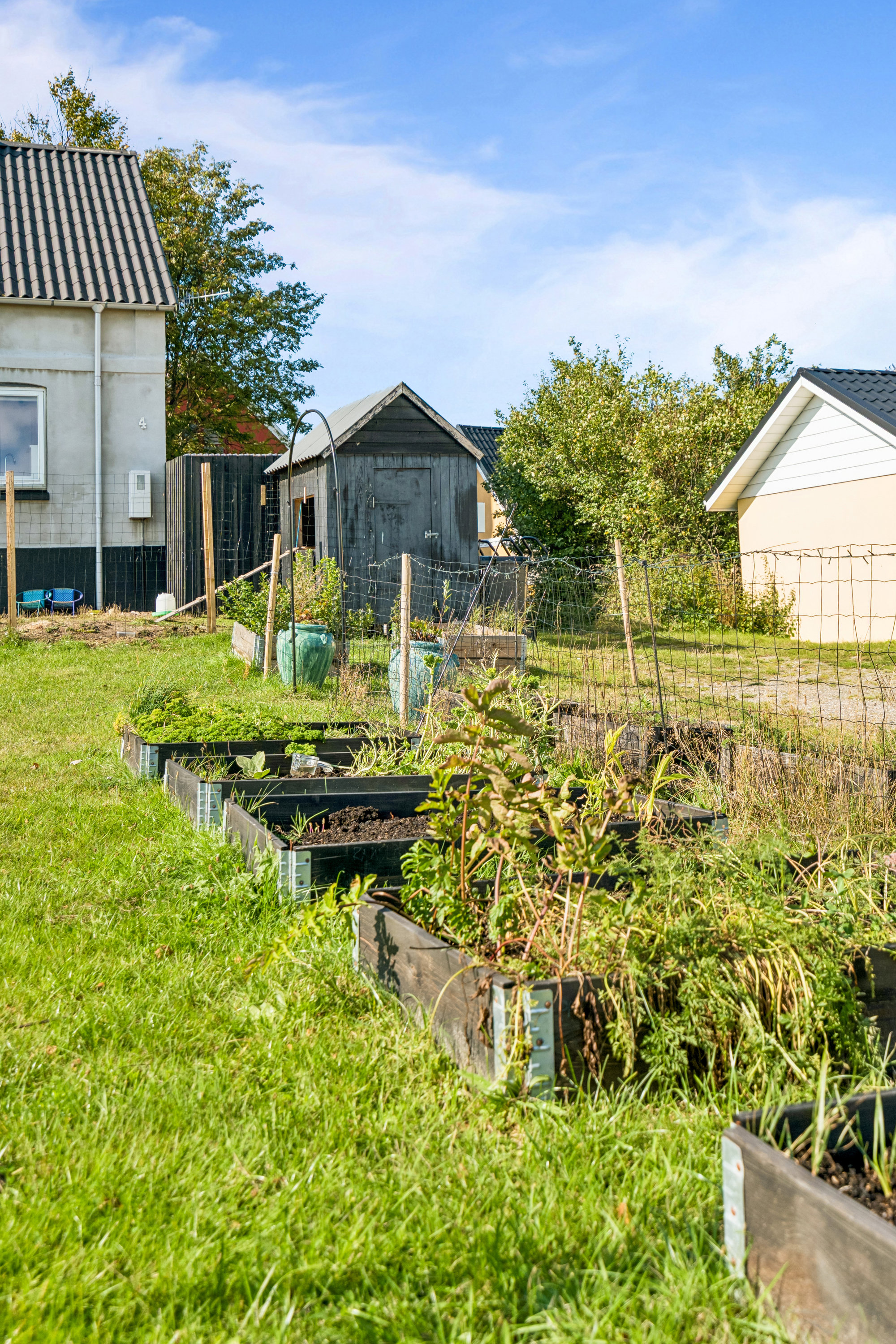 Fremhævet have billede i fuldskærmstilstand. Billede af Kokvadvejen 4, Byrum By, 9940 Læsø