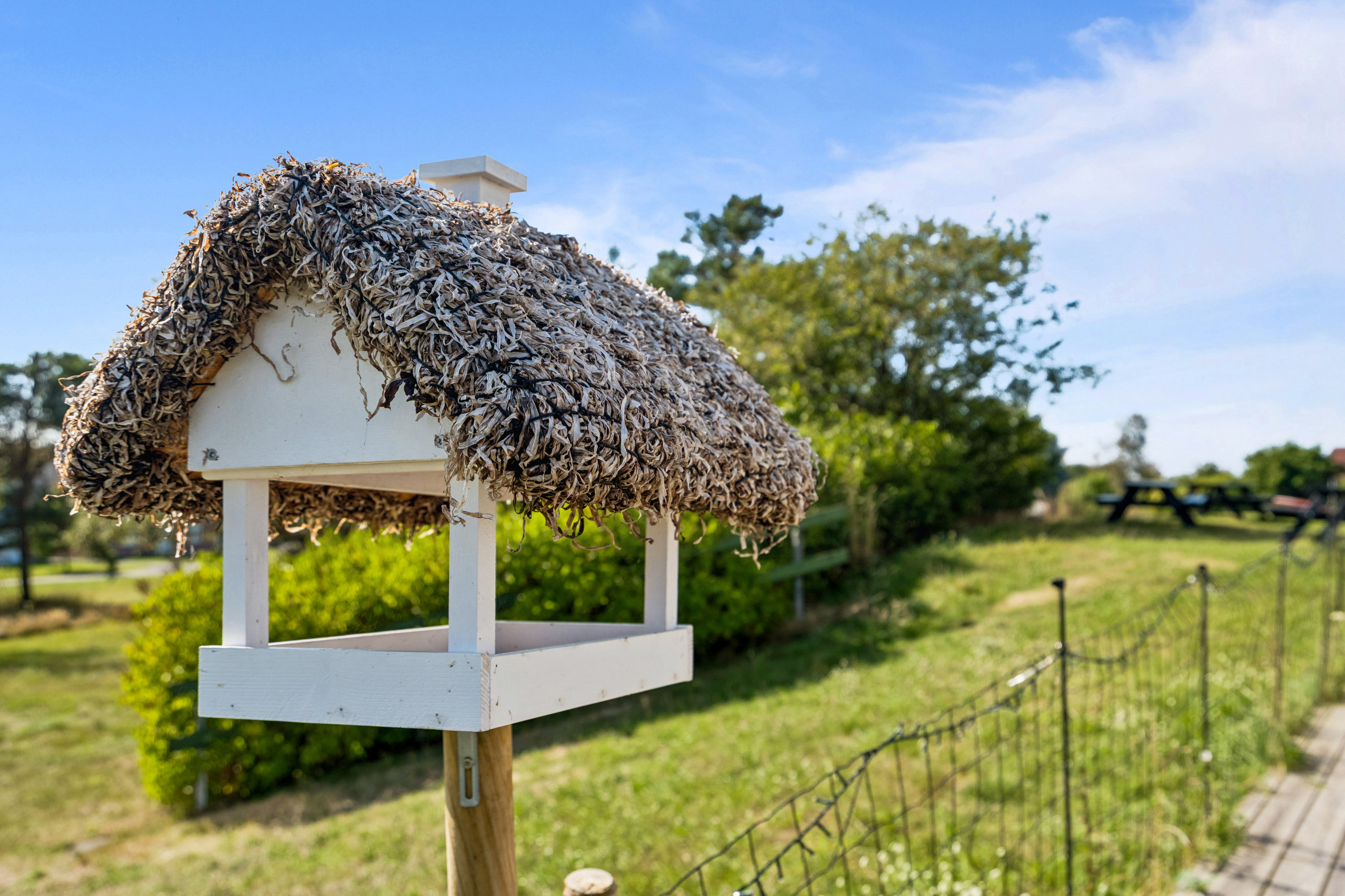 Fremhævet ejendom 1 billede i fuldskærmstilstand. Billede af Kokvadvejen 4, Byrum By, 9940 Læsø