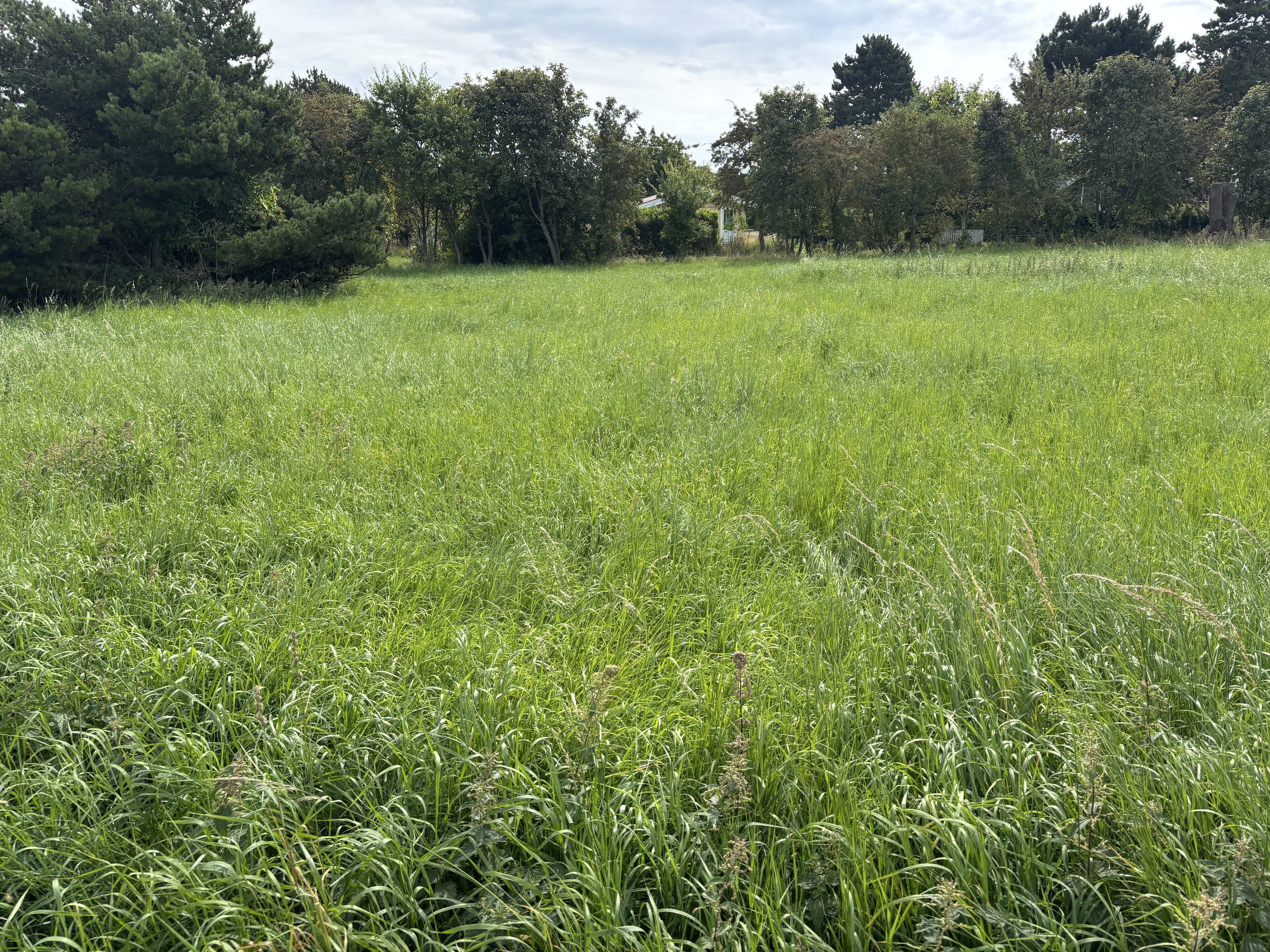 Miniaturebillede 1: . Billede af Stubbegårdsparken 227, 4900 Nakskov