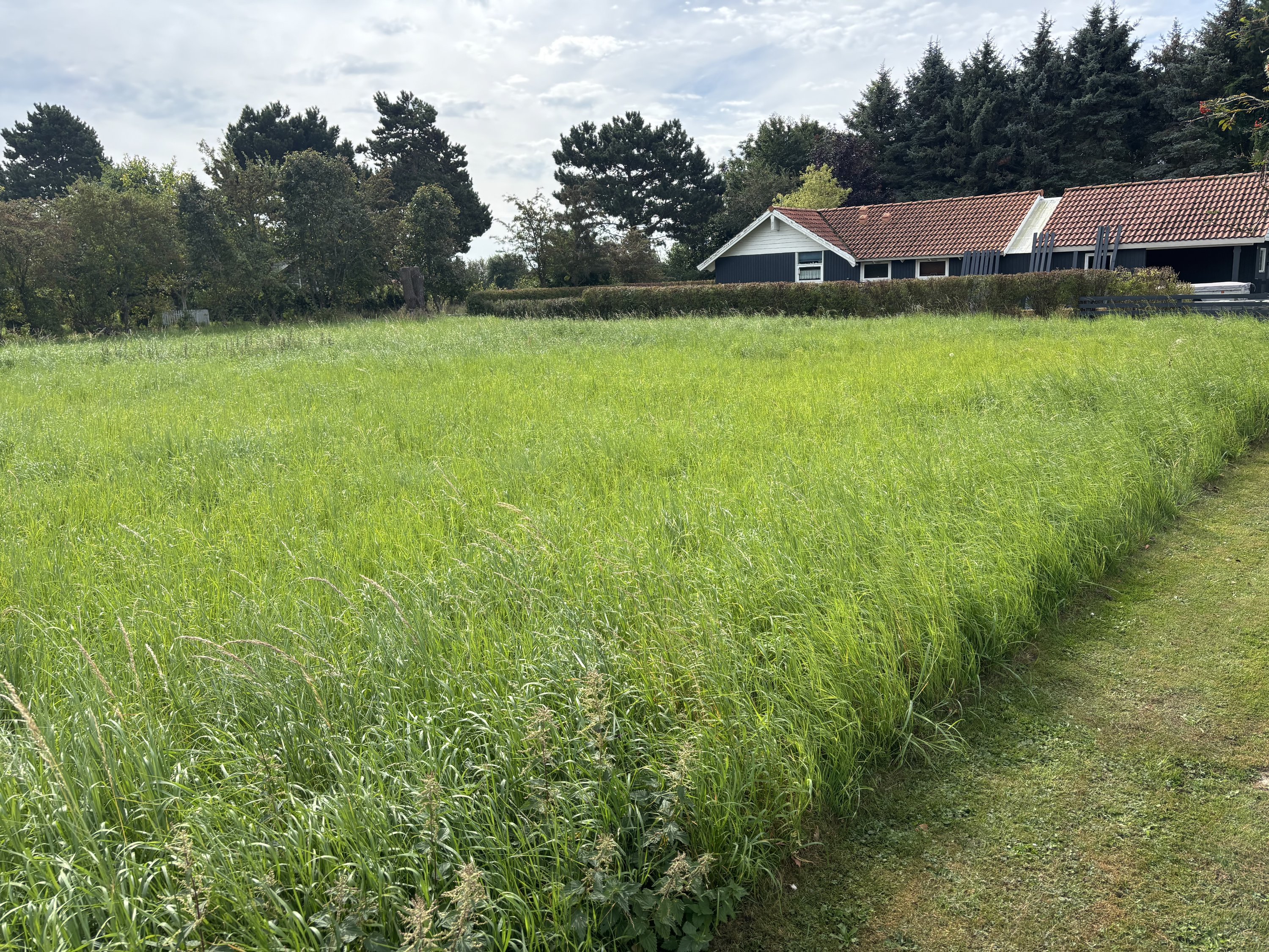 Miniaturebillede 2: . Billede af Stubbegårdsparken 227, 4900 Nakskov