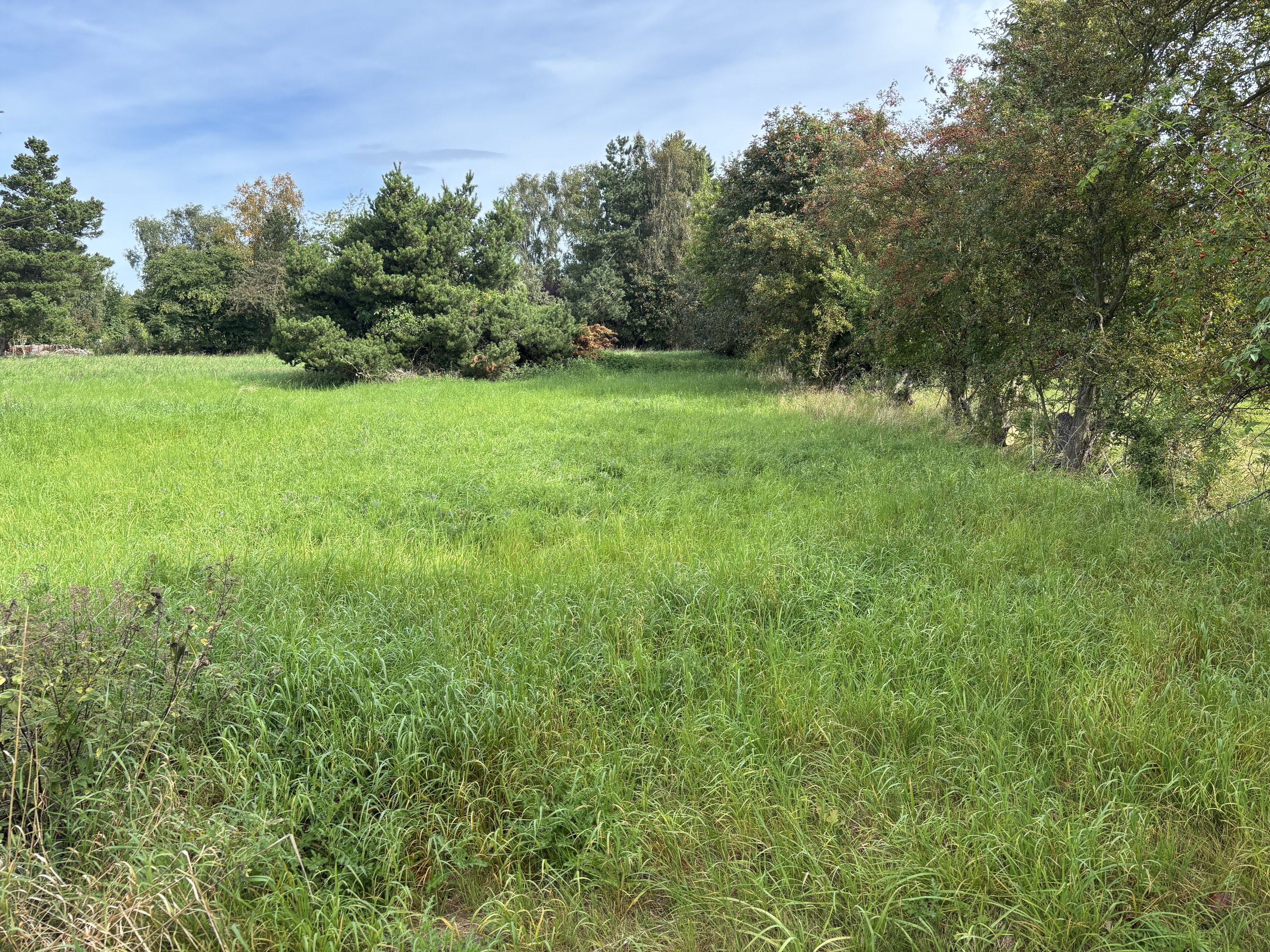 Fremhævet  billede i fuldskærmstilstand. Billede af Stubbegårdsparken 227, 4900 Nakskov