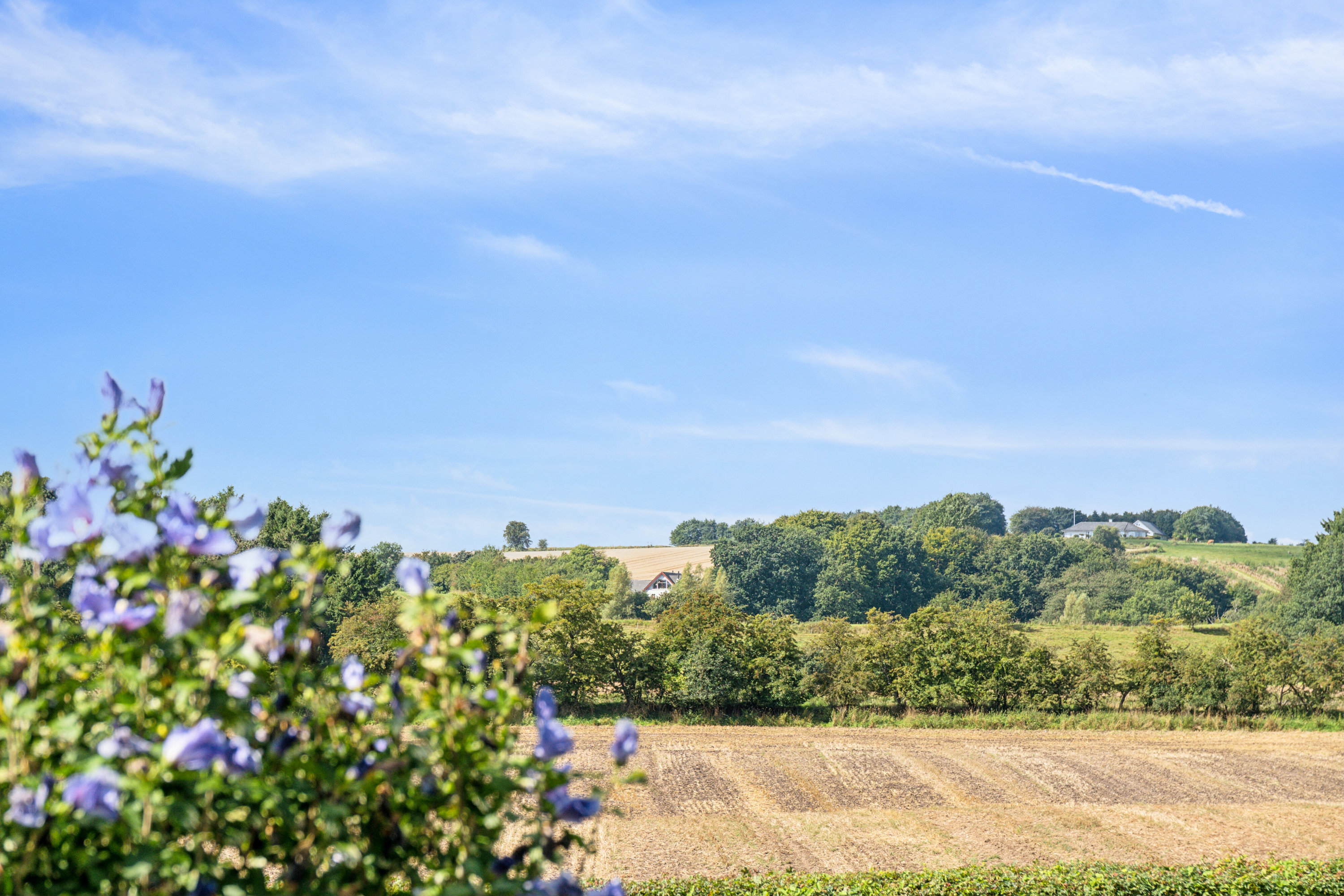 Miniaturebillede 1: udsigt. Billede af Mølkærvej 1, Ødsted, 7100 Vejle