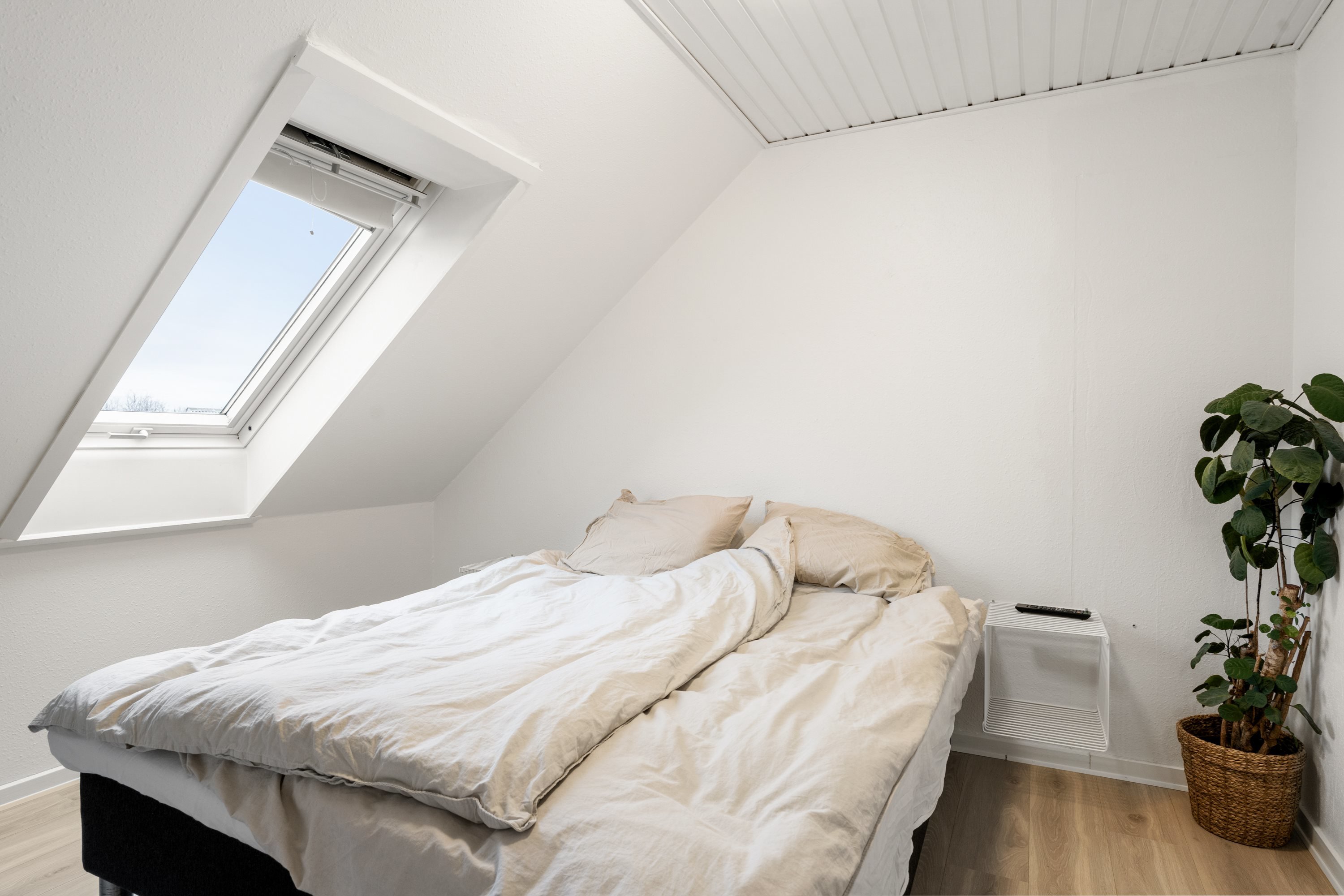 Fremhævet  billede i fuldskærmstilstand. Billede af Knasten 102, 9260 Gistrup