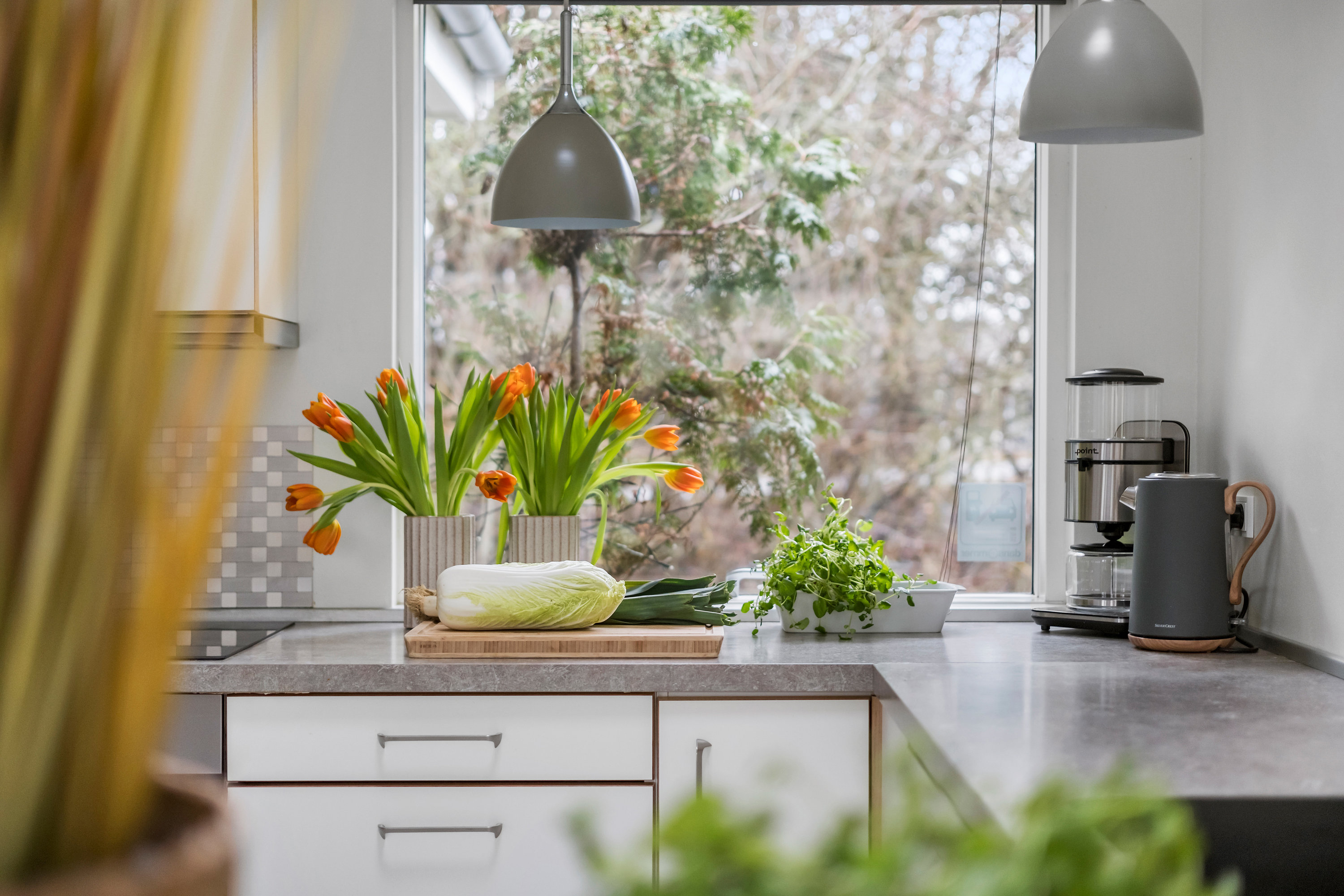 Fremhævet  billede i fuldskærmstilstand. Billede af Vejbyvej 3B, 3220 Tisvildeleje