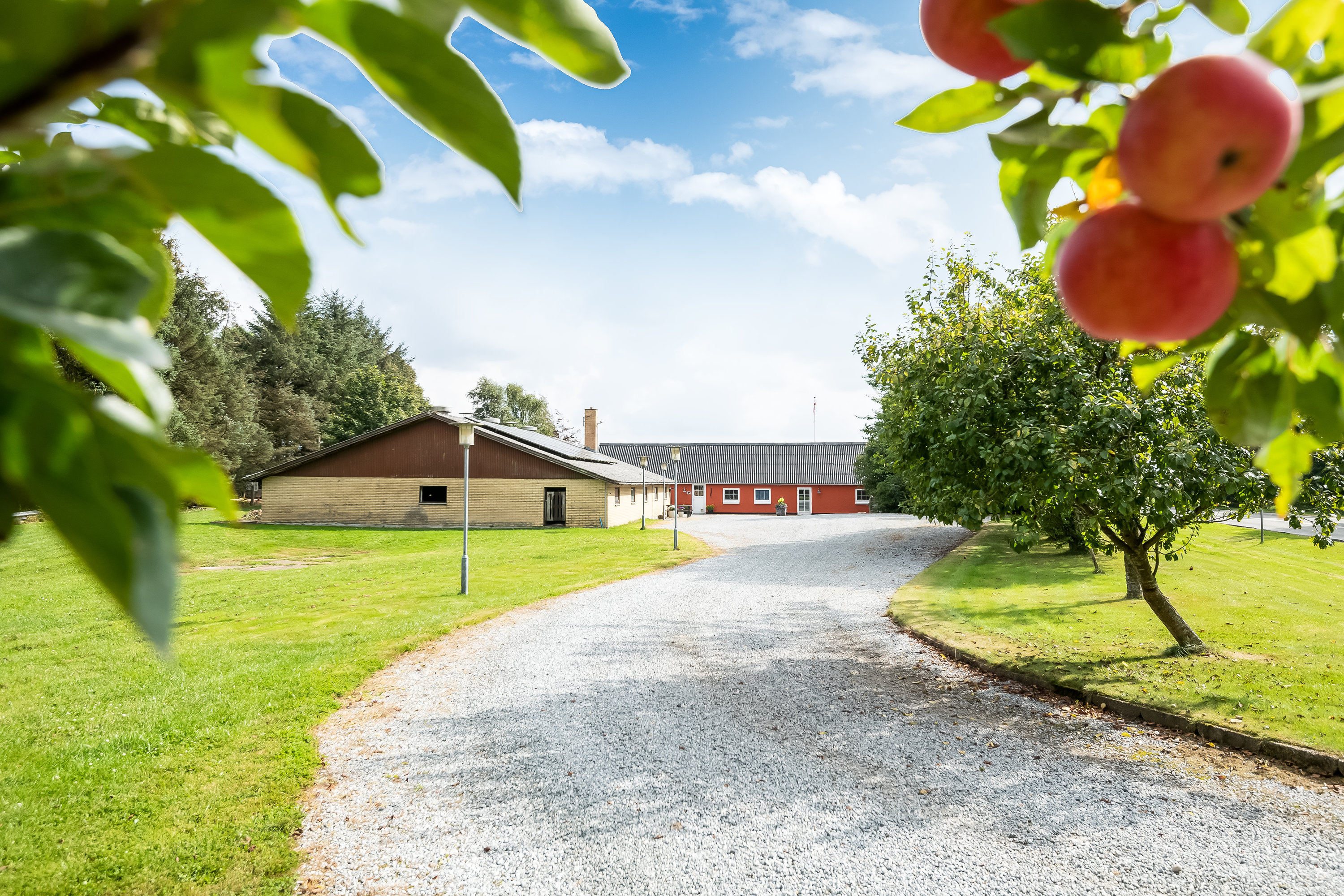 Fremhævet  billede i fuldskærmstilstand. Billede af Trangetvej 355, 9830 Tårs