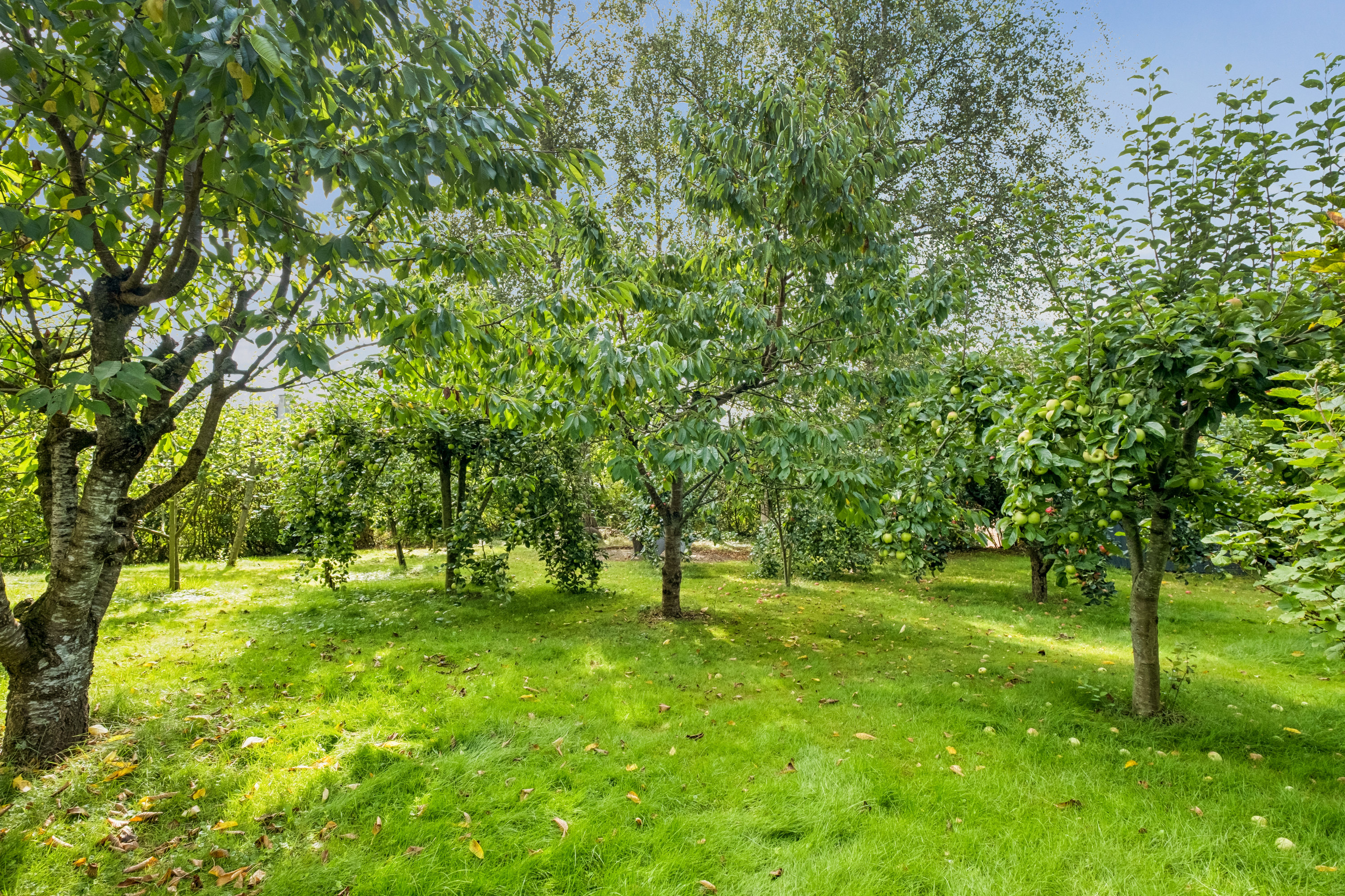 Fremhævet haven billede i fuldskærmstilstand. Billede af Vestervænget 3, Tvingstrup, 8700 Horsens