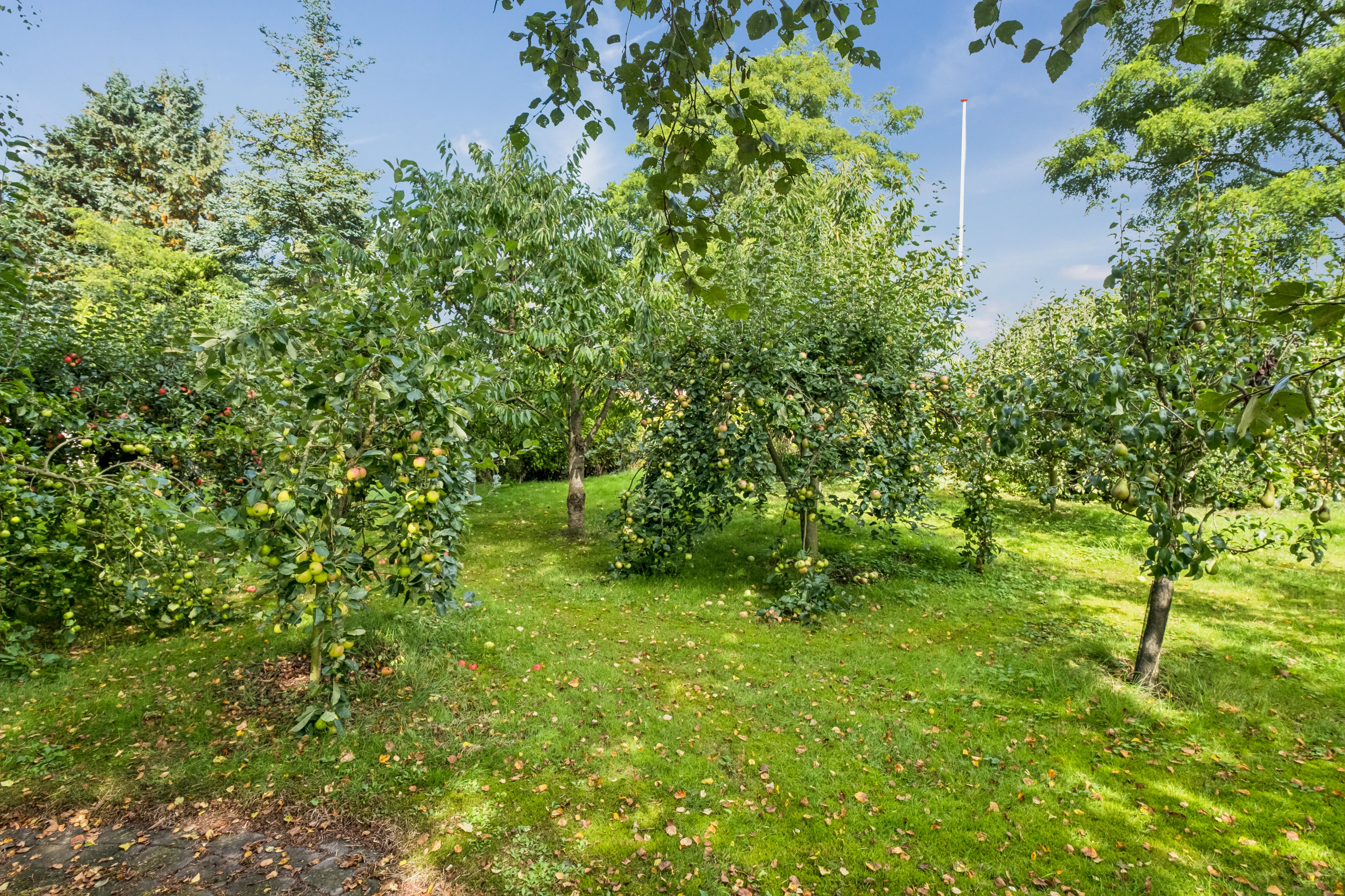 Fremhævet haven billede i fuldskærmstilstand. Billede af Vestervænget 3, Tvingstrup, 8700 Horsens
