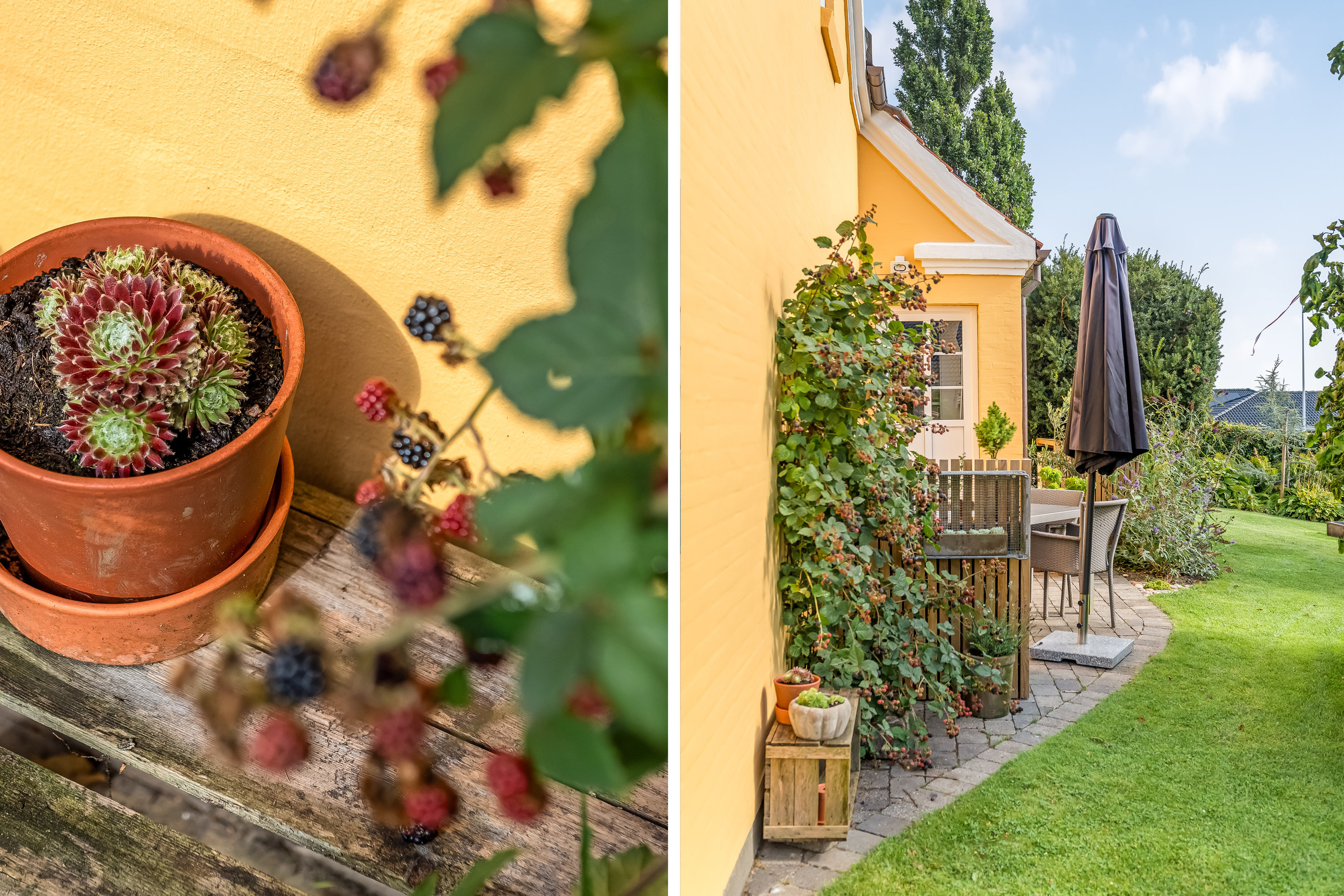 Fremhævet have billede i fuldskærmstilstand. Billede af Åbrinken 26, 7550 Sørvad