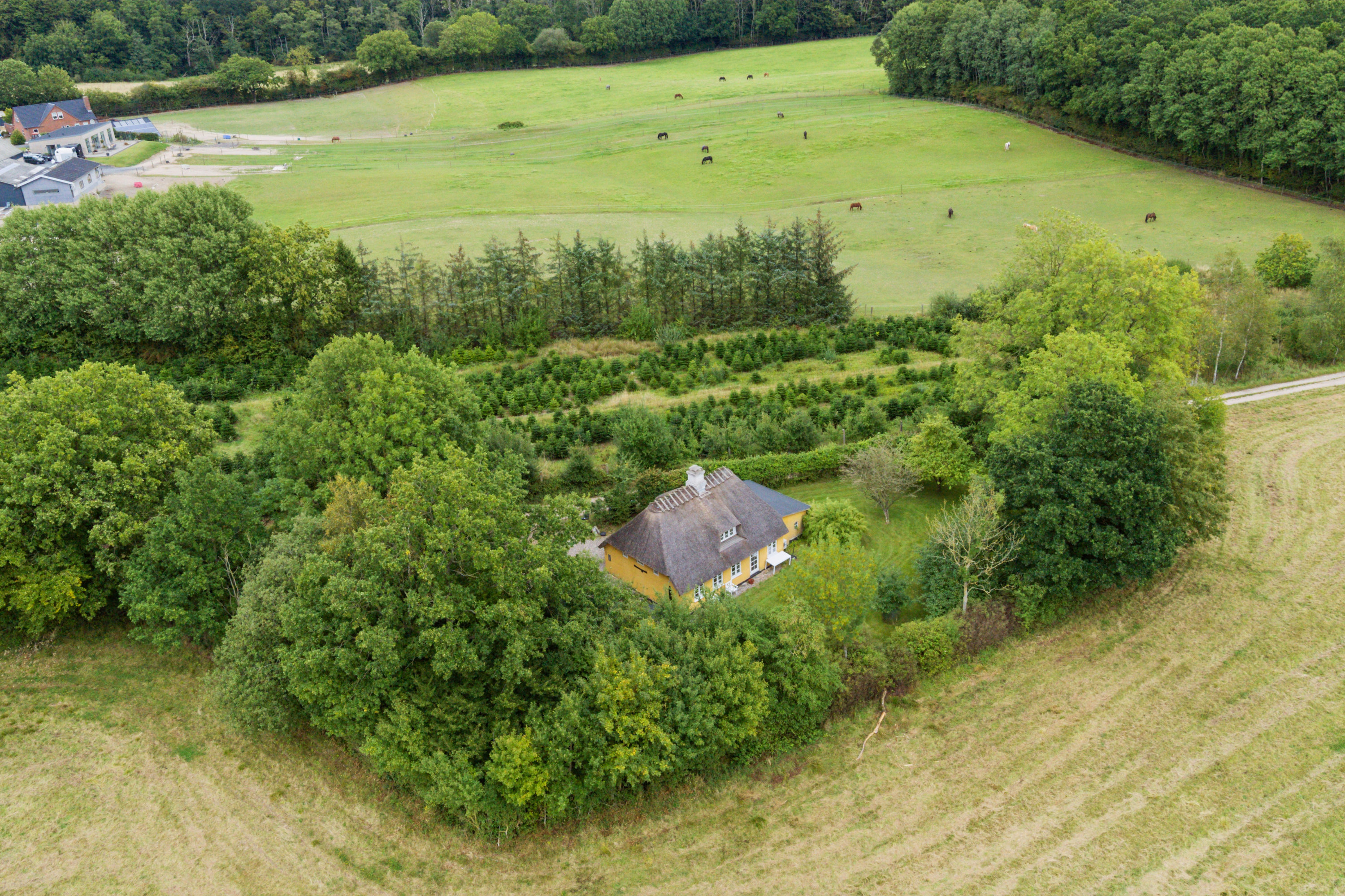 Fremhævet luftfoto billede i fuldskærmstilstand. Billede af Limbækvej 8, 6300 Gråsten
