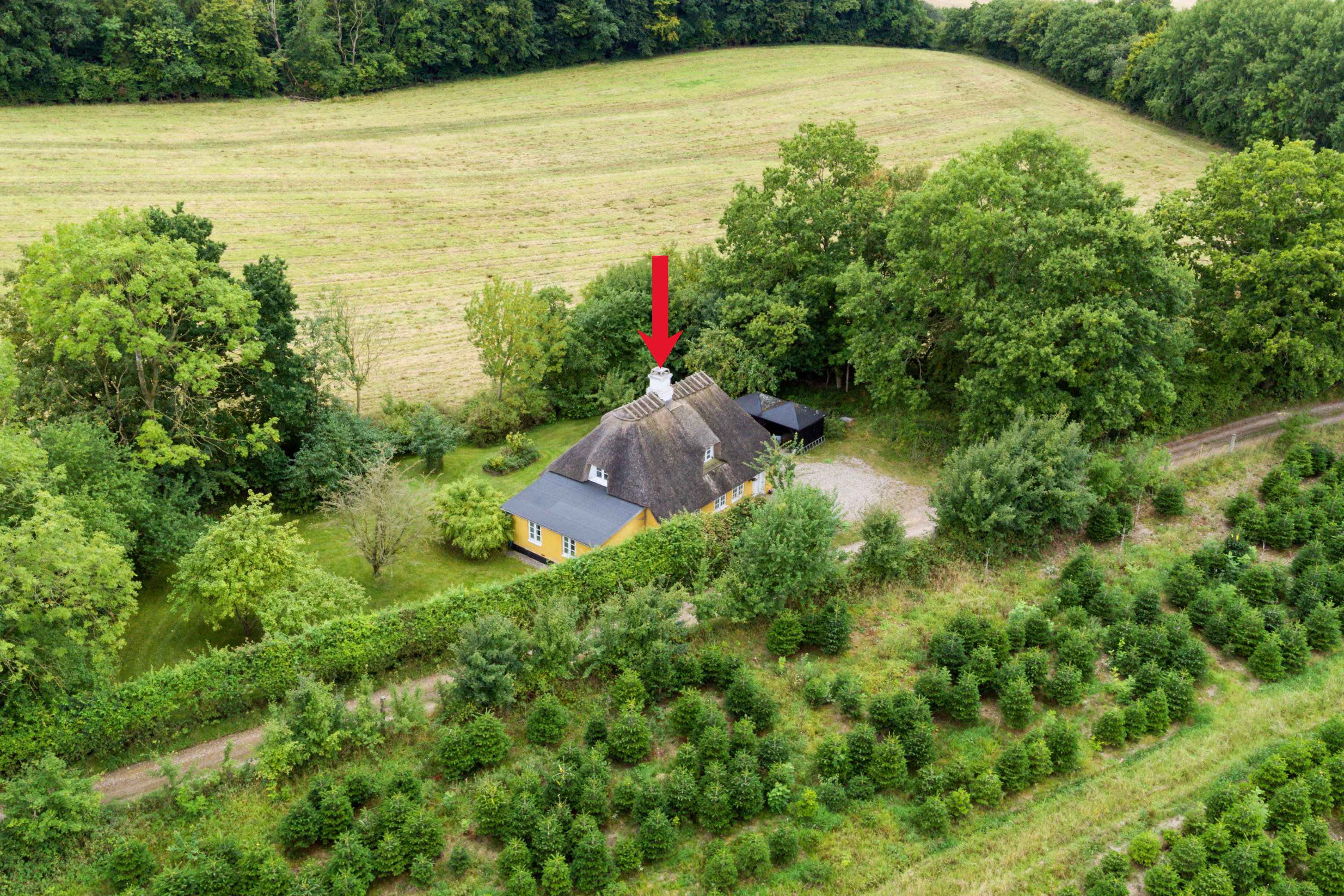 Fremhævet terrasse billede i fuldskærmstilstand. Billede af Limbækvej 8, 6300 Gråsten